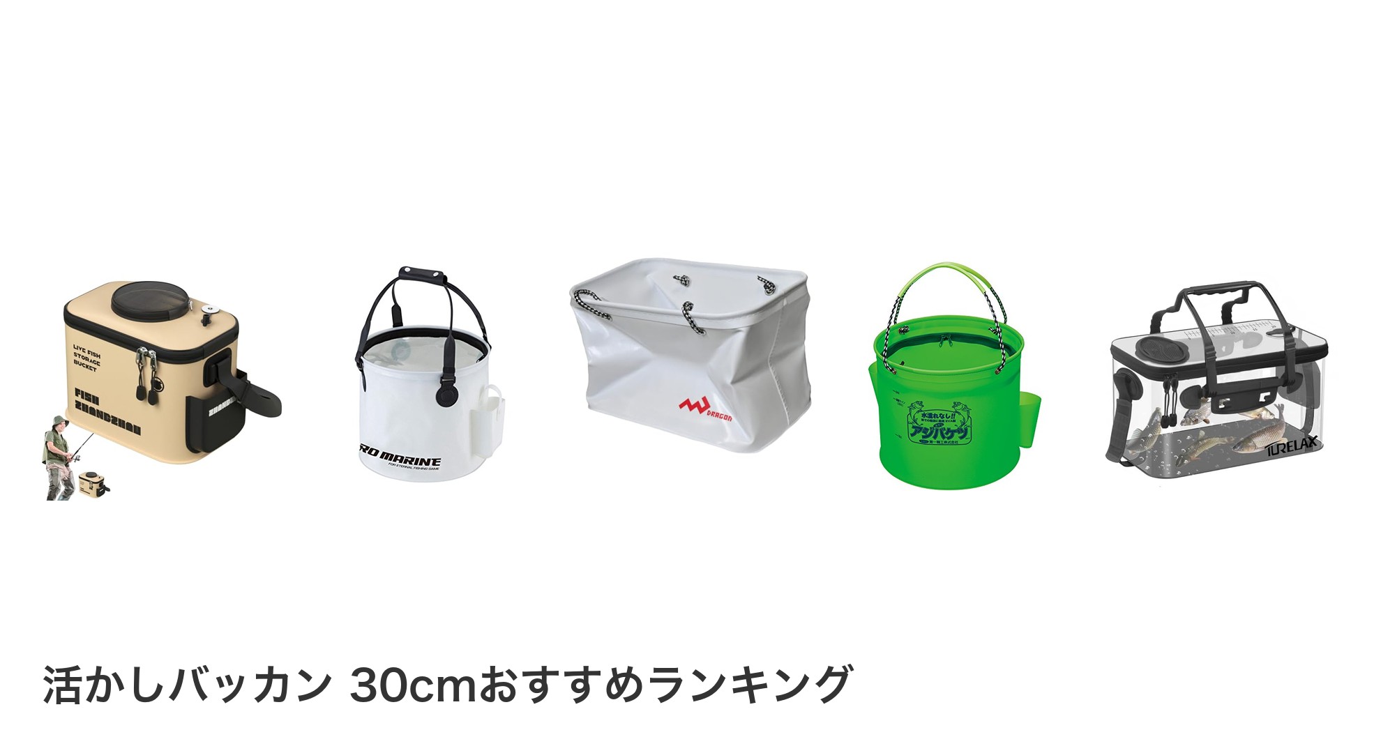 活かしバッカン 30cmのおすすめランキング