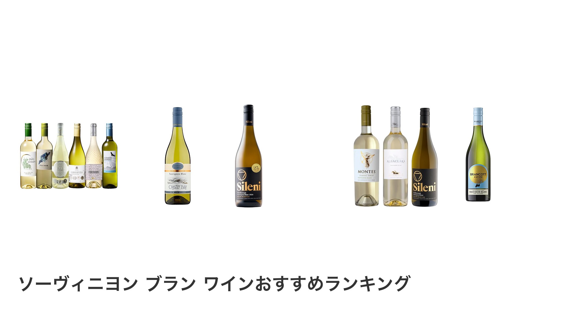 ソーヴィニヨン ブラン ワインのおすすめランキング