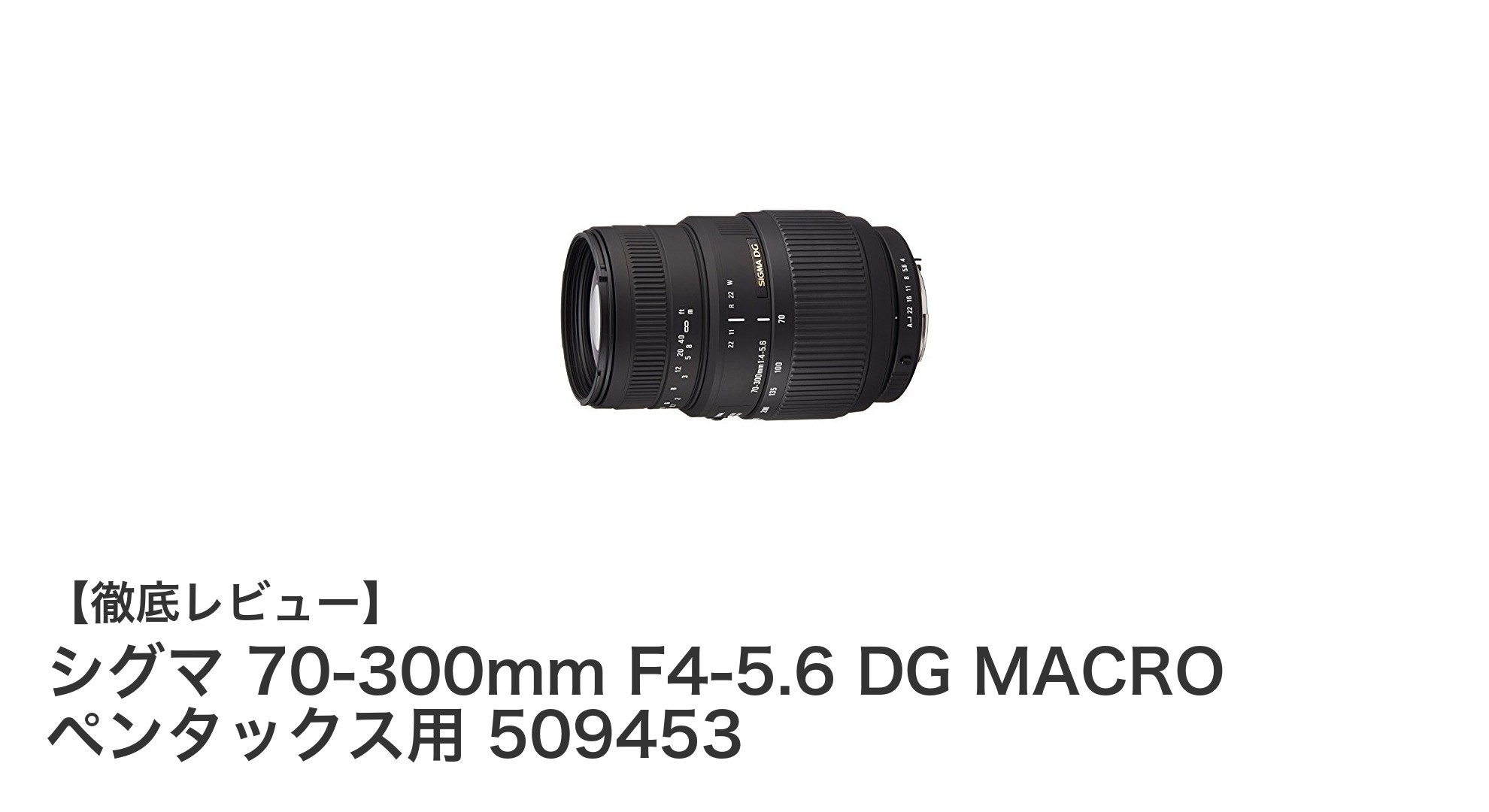 ペンタックスユーザー必見！シグマ 70-300mm F4-5.6 DG MACROで広がる撮影の可能性