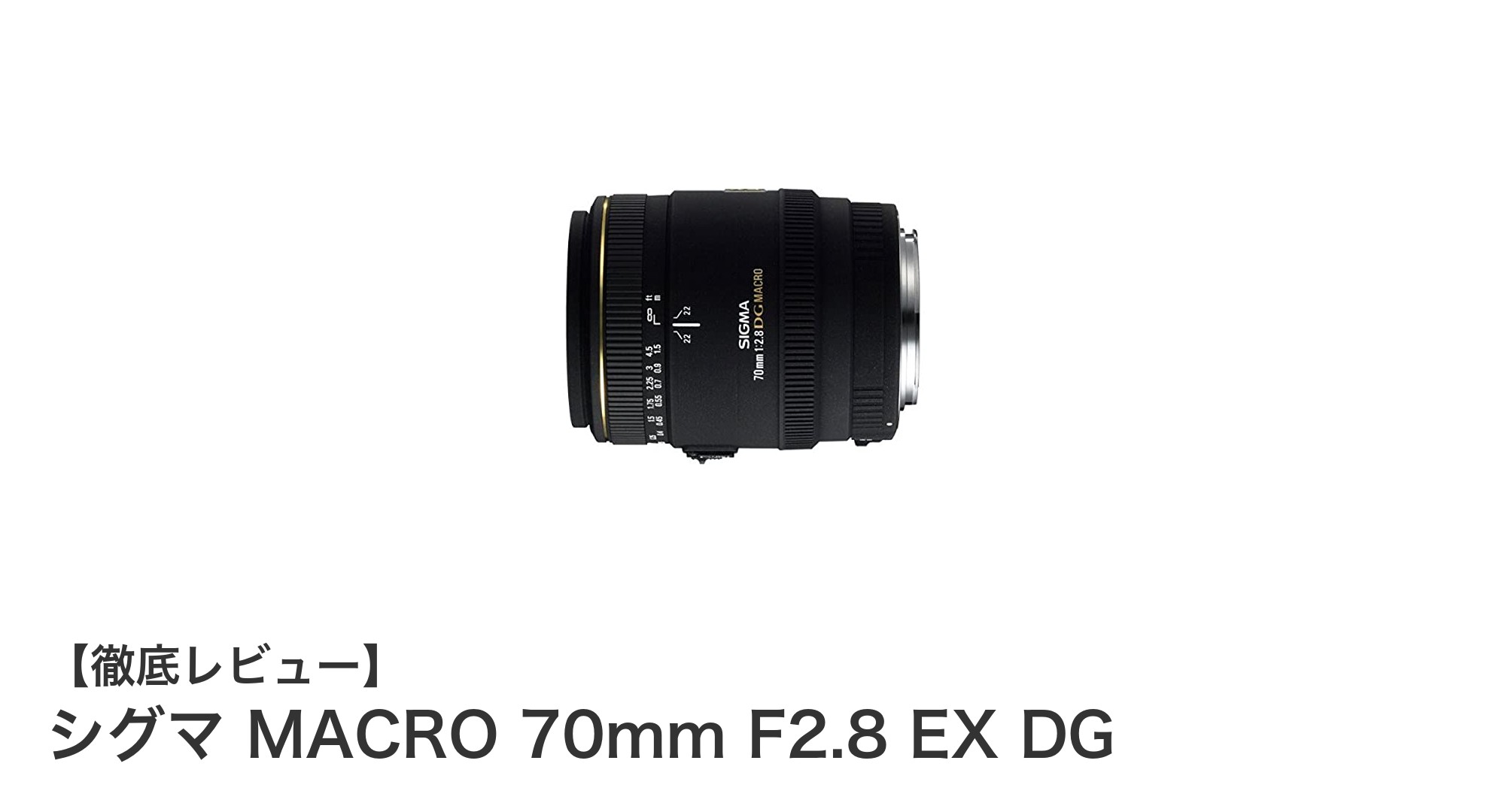 シグマ MACRO 70mm F2.8 EX DGで極上のマクロ撮影を実現！