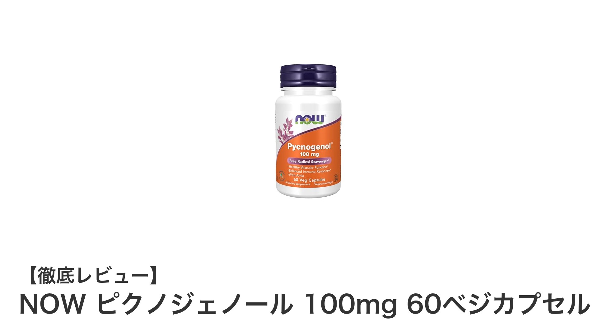 高品質な植物性サプリメント!NOW ピクノジェノール 100mgで健康サポート