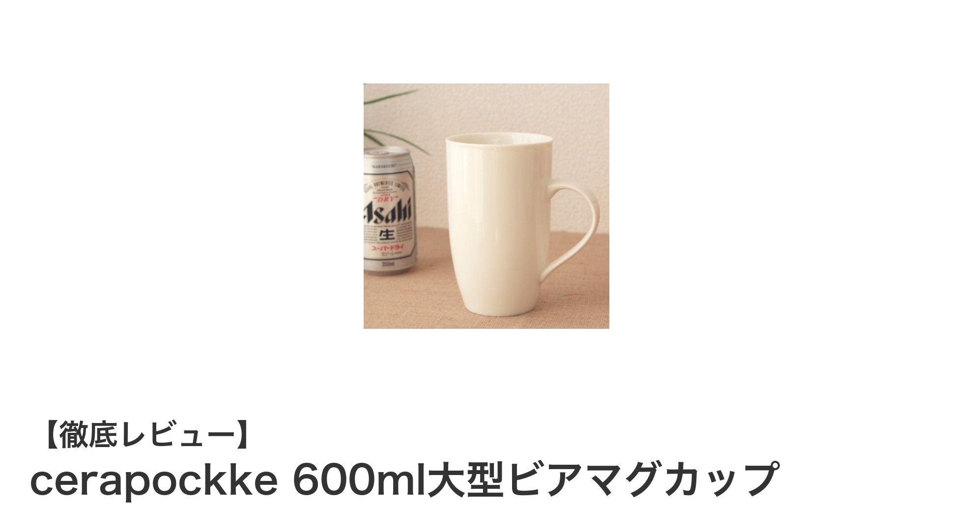 大容量&保温性抜群!セラポッケの600ml大型ビアマグカップで贅沢なビールタイムを楽しもう