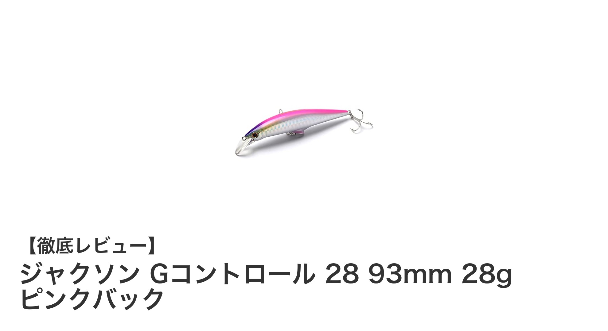 ジャクソン Gコントロール 28で狙う！シーバス＆ヒラメ必携ルアーの魅力とは？