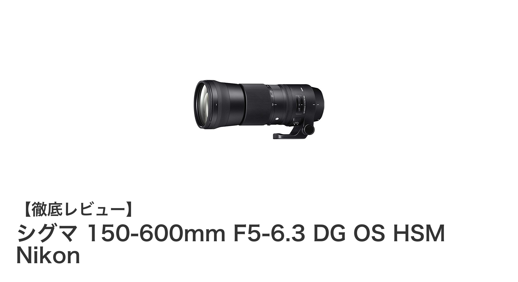 Nikonユーザー必見！シグマ150-600mm超望遠ズームレンズの実力とは？