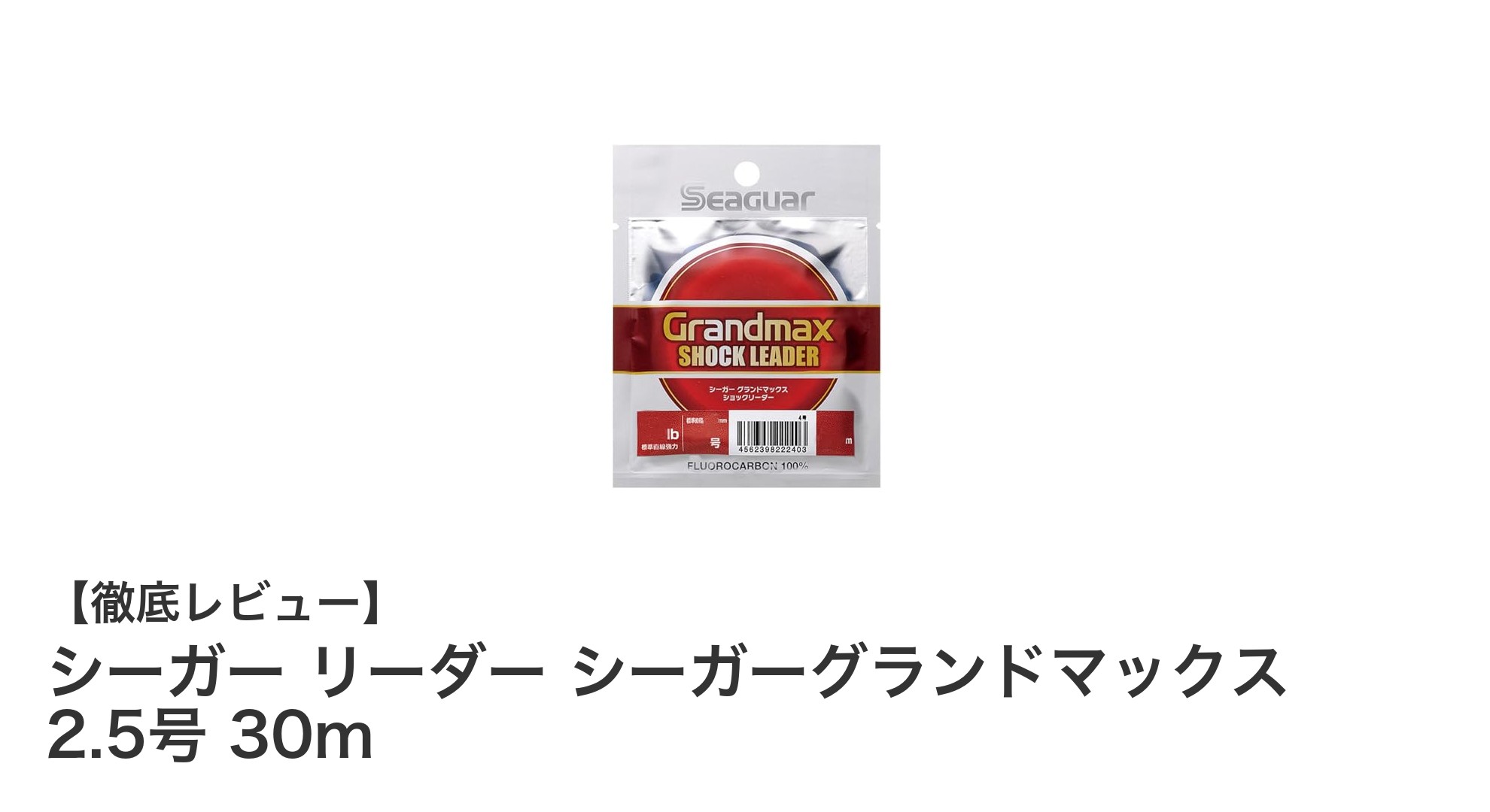 シーガーグランドマックス2.5号で狙う!クリアで強靭なフロロリーダーラインの魅力