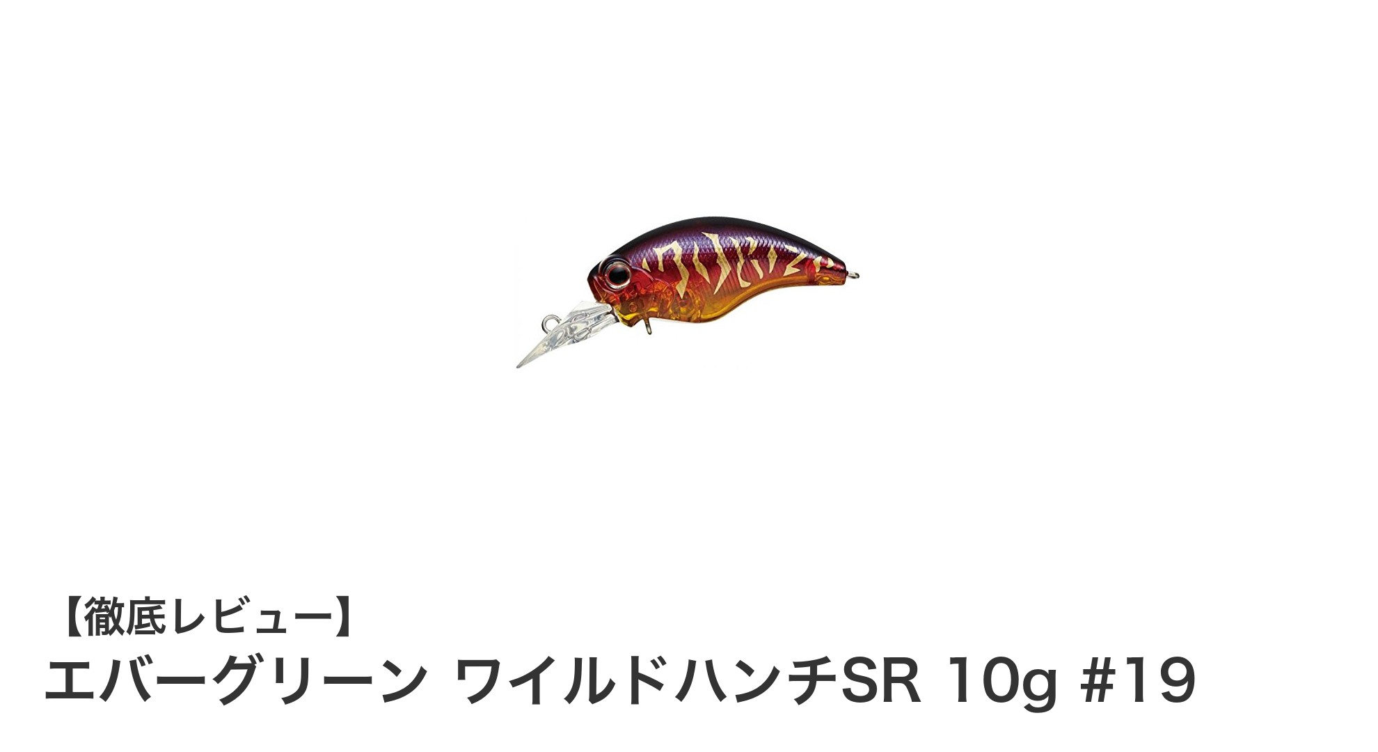 浅場攻略の新定番！エバーグリーン ワイルドハンチSR 10g #19の魅力徹底解説