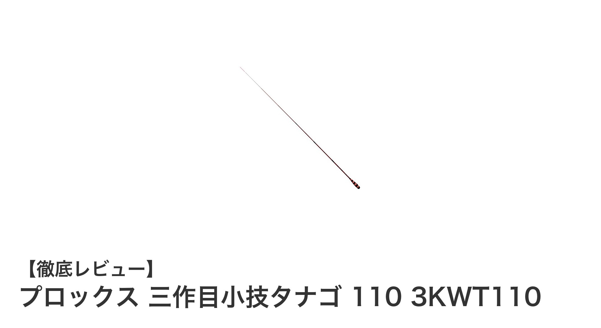 携帯性抜群！軽量で繊細な釣りを実現するプロックス三作目小技タナゴ110