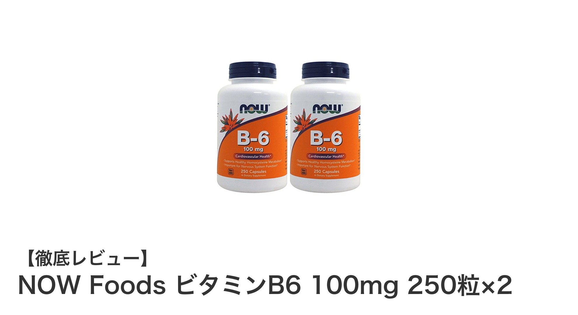 高品質なNOW FoodsのビタミンB6 100mgで健康サポート！250粒×2セットの大容量パック