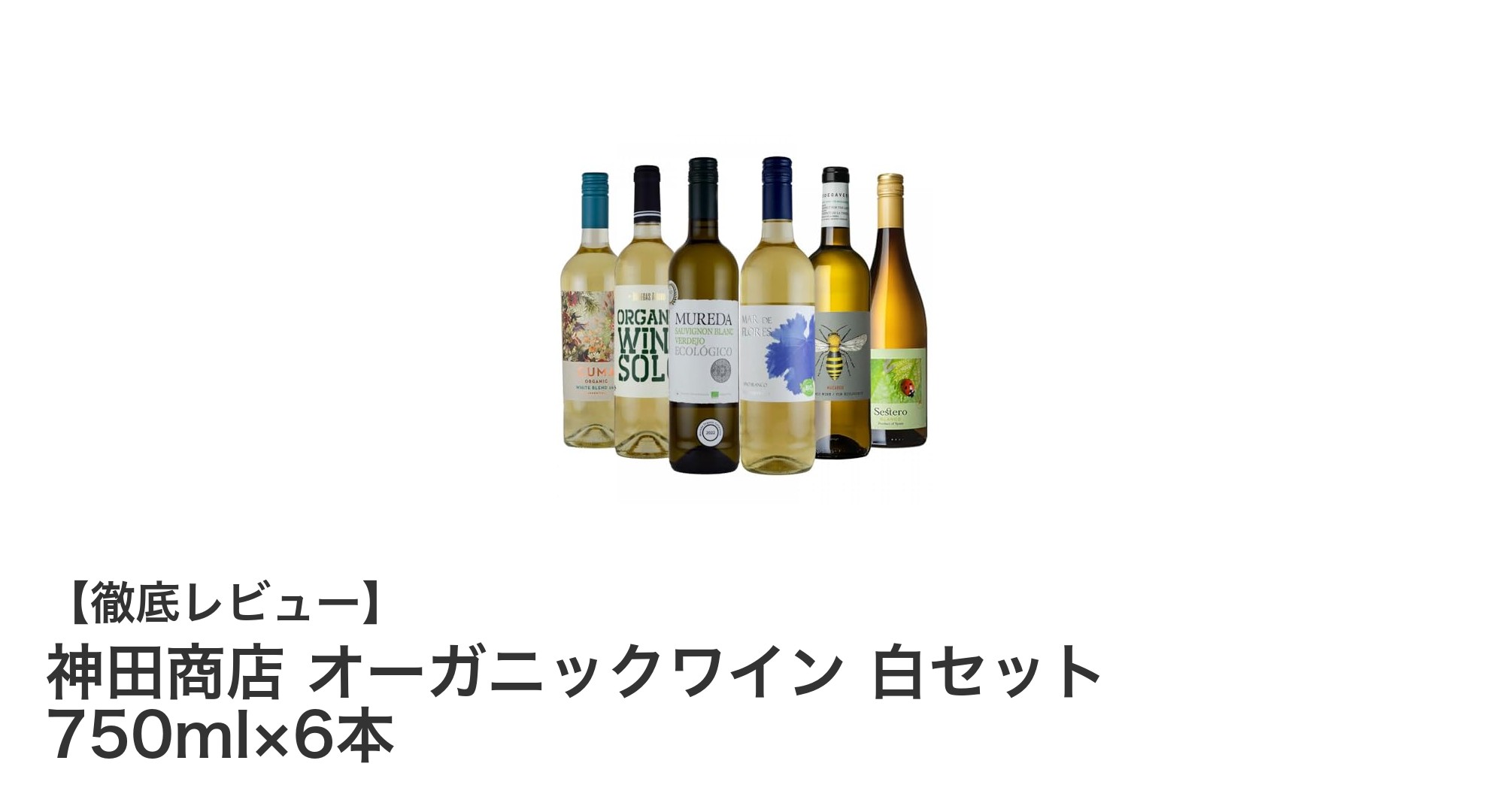 神田商店のオーガニック白ワインセットで楽しむ自然派の味わい
