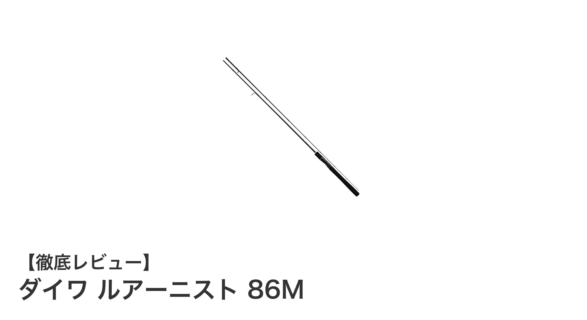 ダイワ ルアーニスト 86Mで楽しむエギングとシーバス釣りの新境地