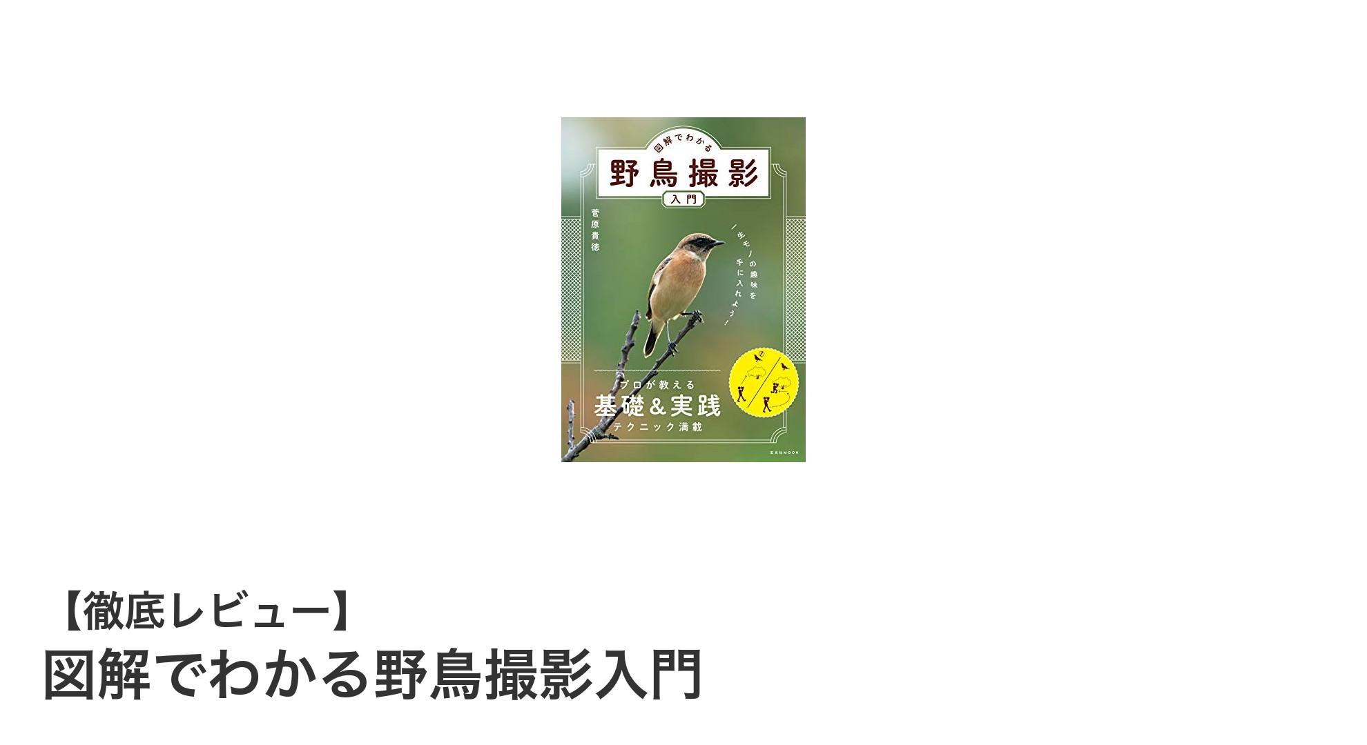 初心者必見！図解で学ぶ野鳥撮影の基本とコツ