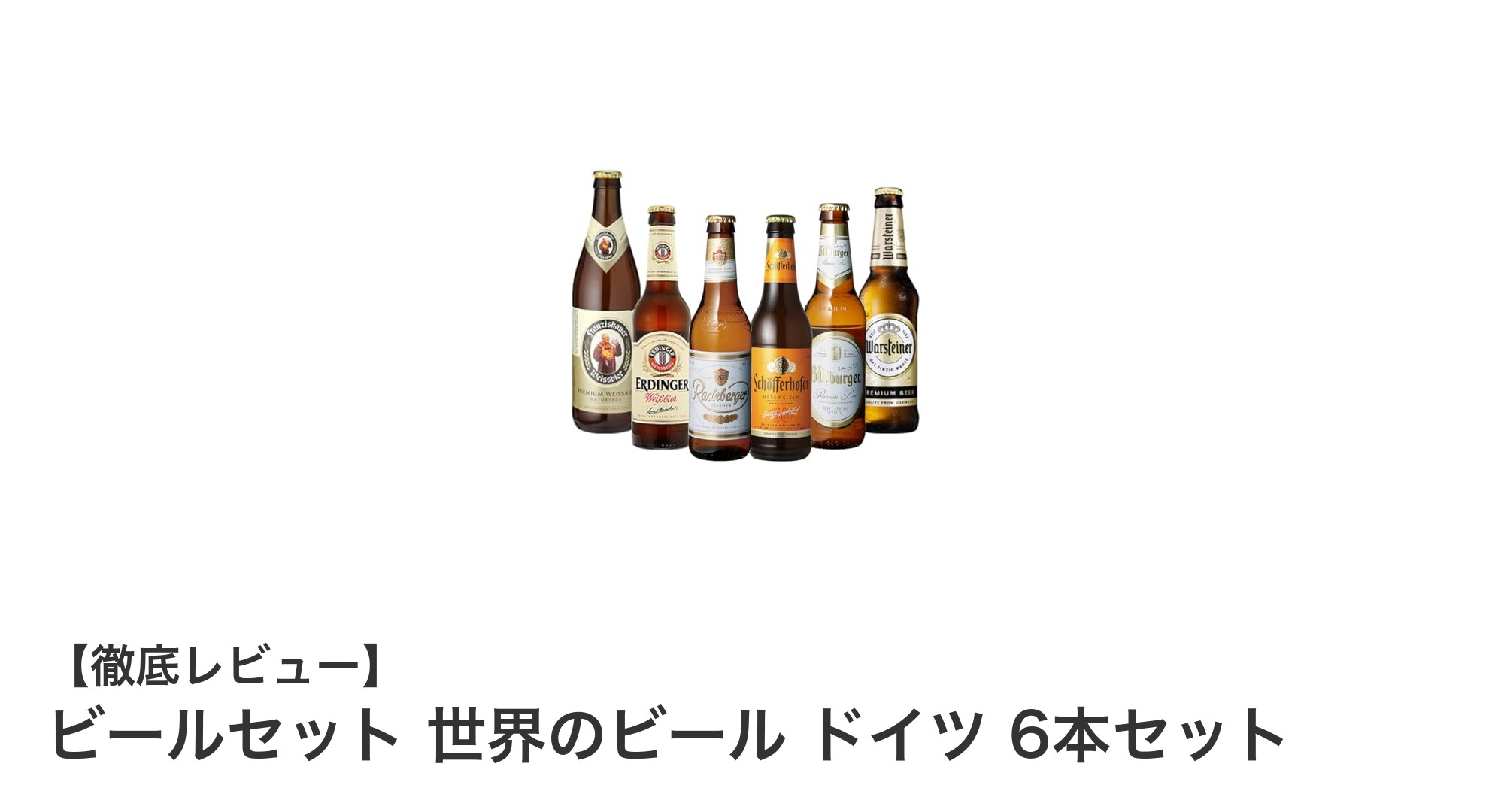 ドイツの魅力を味わう！世界のビール ドイツ 6本セットで飲み比べ体験