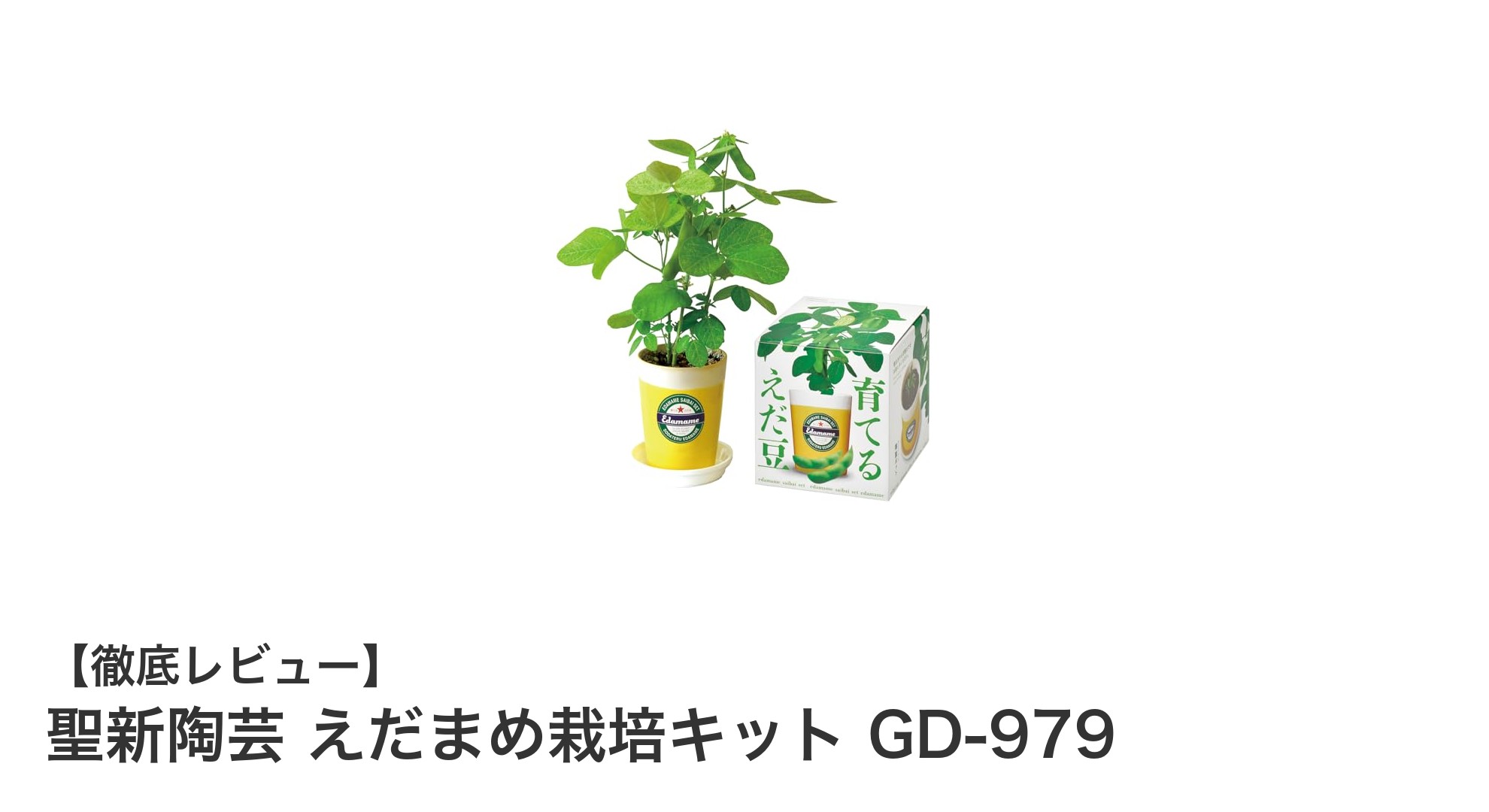 初心者でも簡単！聖新陶芸のえだまめ栽培キットで家庭菜園デビュー