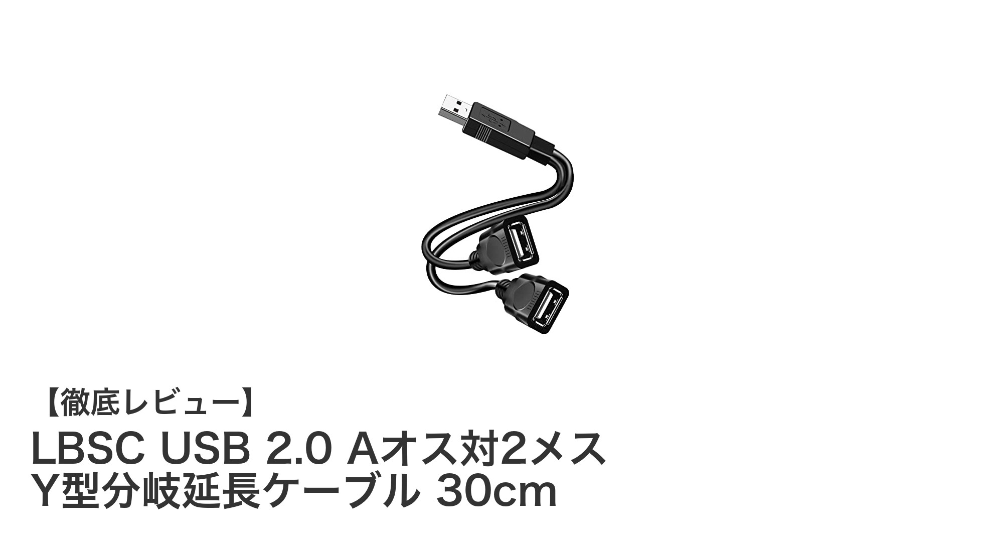 耐久性抜群！LBSCのUSB 2.0 Y型分岐延長ケーブルで快適なデータ転送と充電を実現