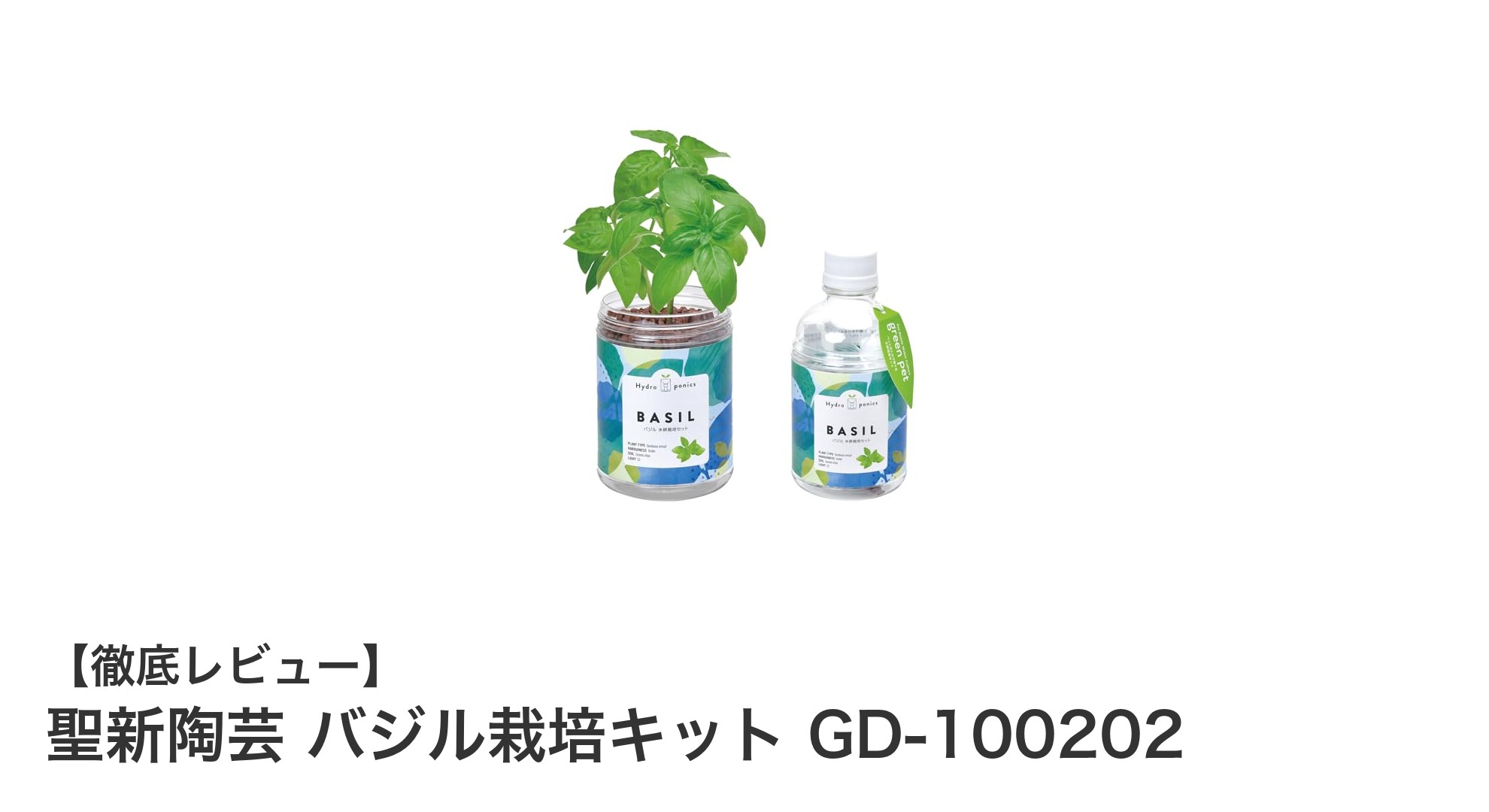 手軽に始める!聖新陶芸のバジル栽培キットで家庭菜園デビュー