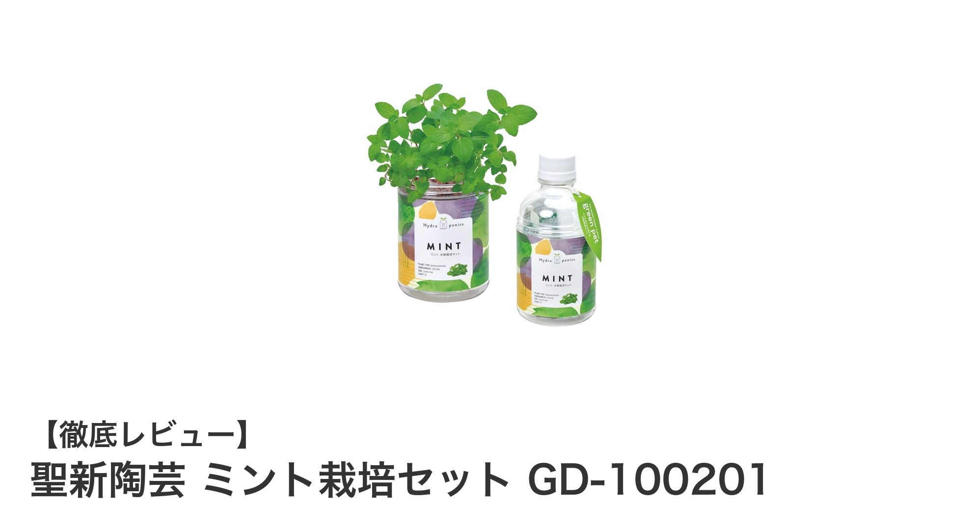 初心者でも安心！聖新陶芸のミント栽培セットで手軽にハーブ栽培を始めよう