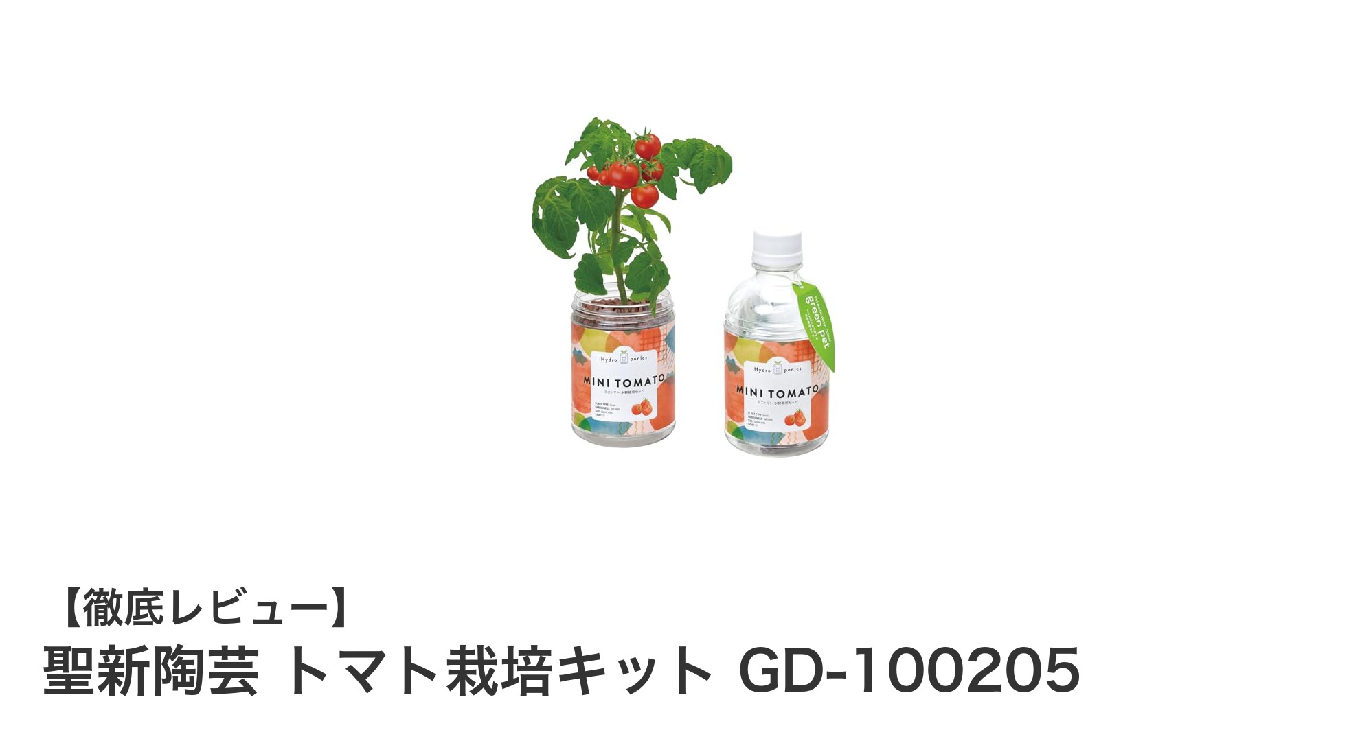 初心者でも安心！聖新陶芸のトマト栽培キットで家庭菜園デビュー