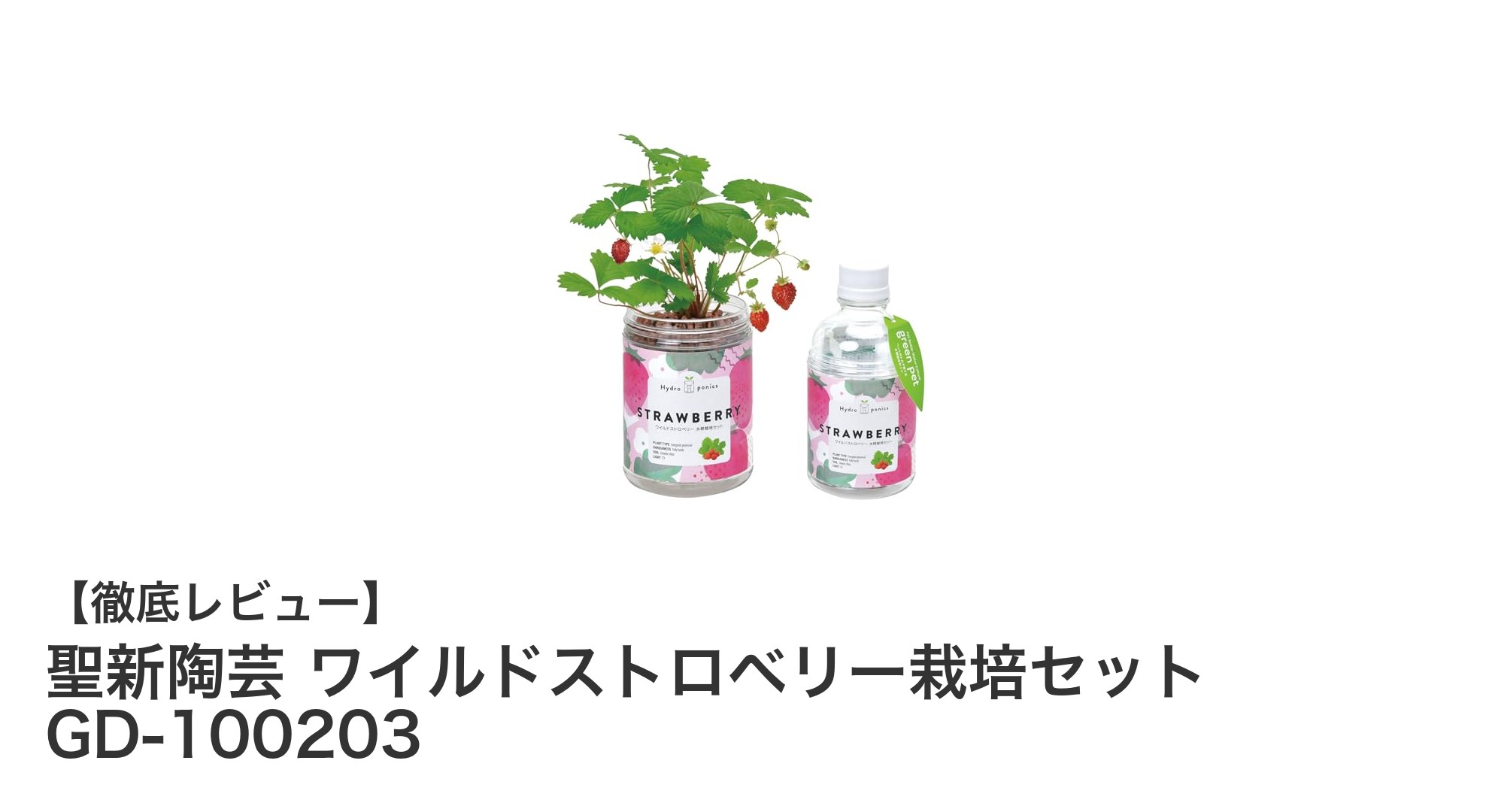 手軽に始める家庭菜園！聖新陶芸のワイルドストロベリー栽培セットで癒しのひとときを