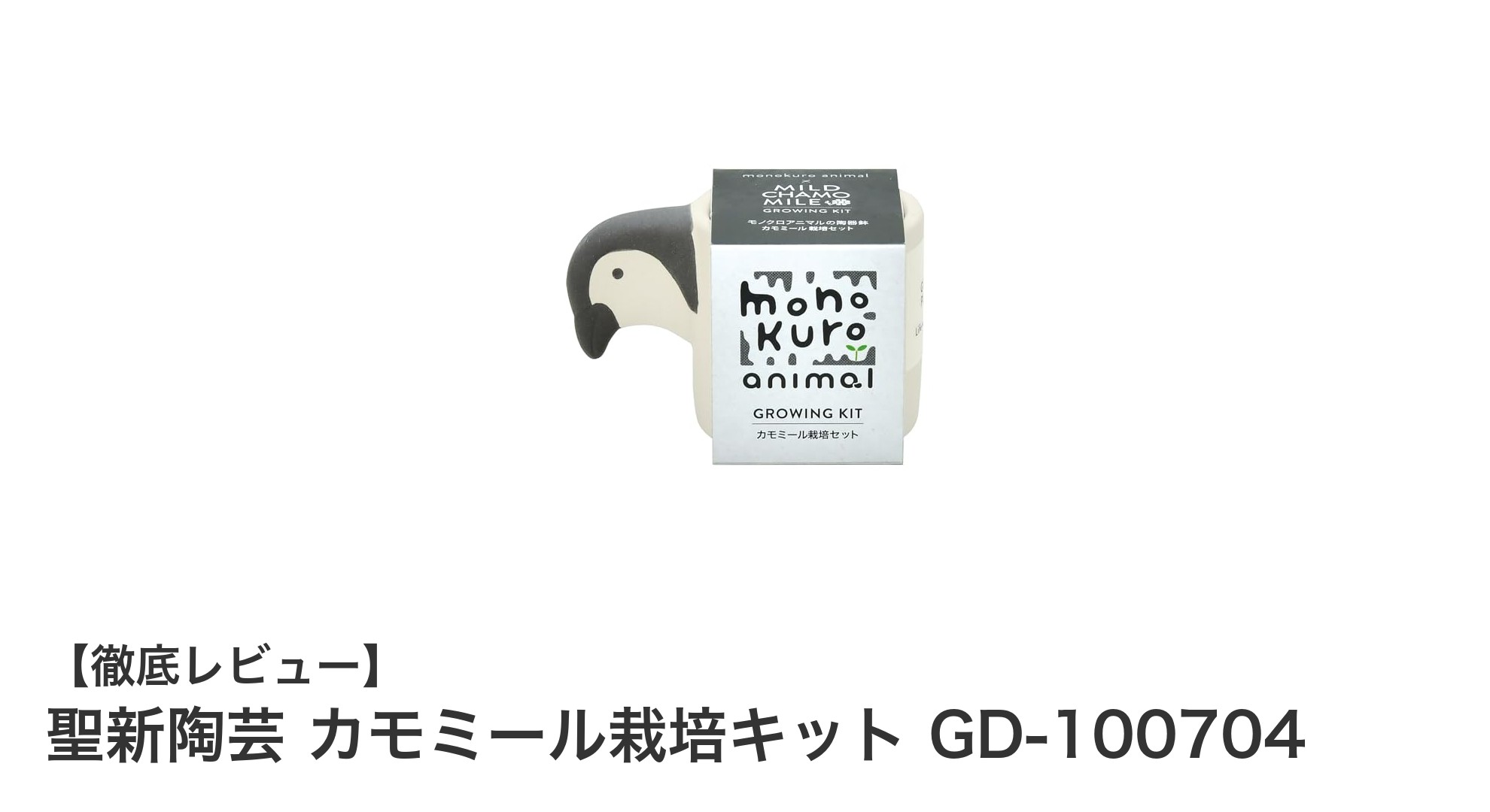 初心者でも簡単!ペンギン型陶器ポットで楽しむカモミール栽培キット