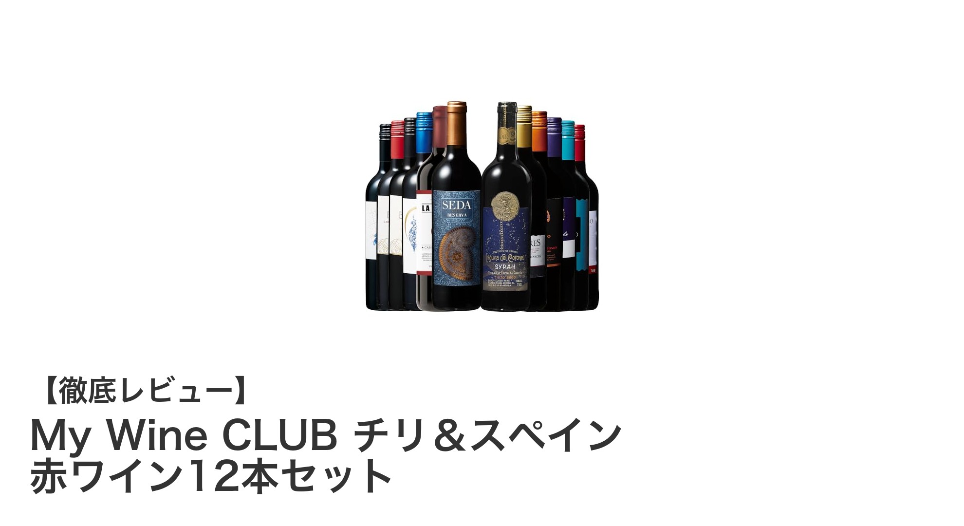 チリ＆スペインの赤ワインを楽しむなら！My Wine CLUBの12本セットで飲み比べを満喫しよう