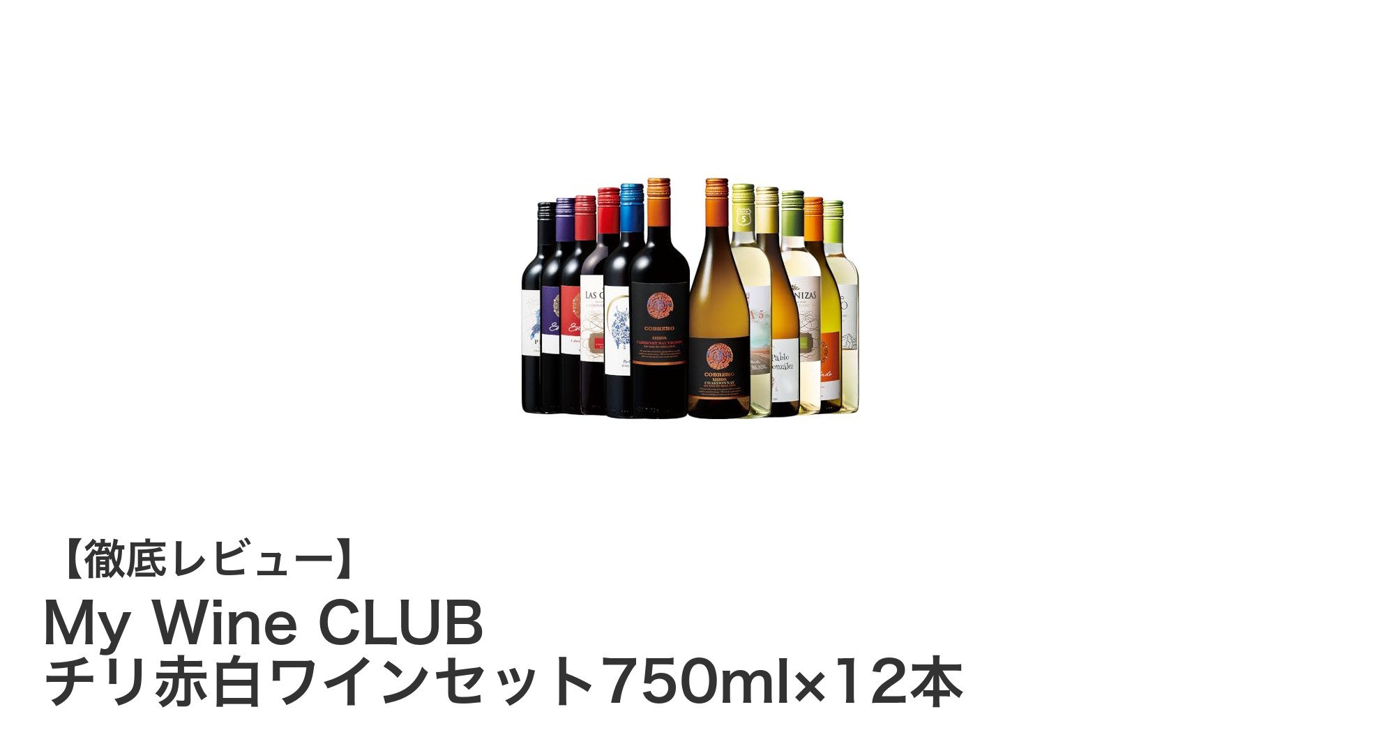 多彩な味わいを楽しむ!My Wine CLUBのチリ産赤白ワイン12本セット