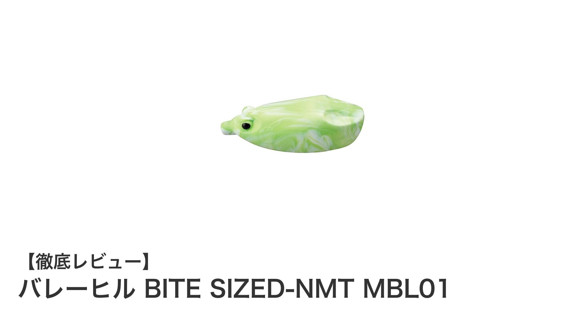 コンパクトで軽量！バレーヒルのBITE SIZED-NMT MBL01で釣果アップを狙う