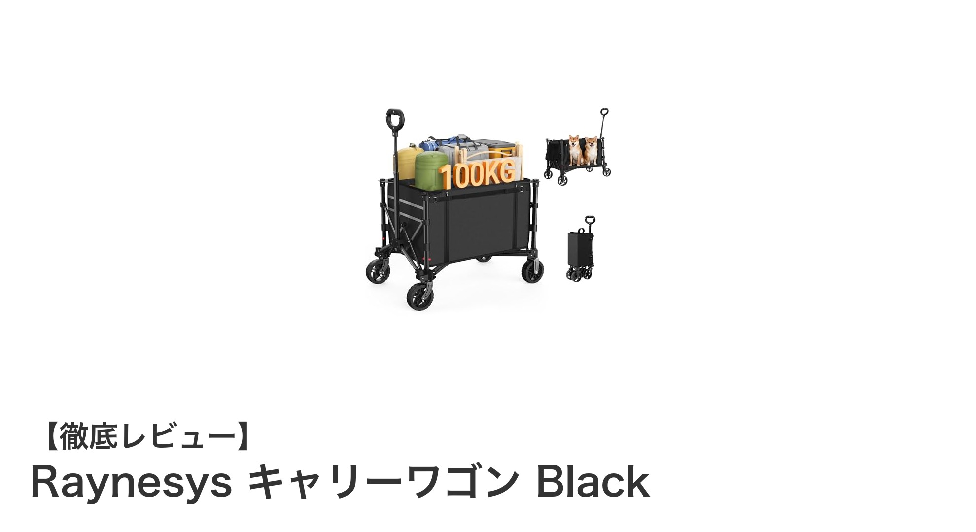 Raynesys キャリーワゴン Blackでアウトドアをもっと快適に！大容量＆耐久性抜群の折り畳みカート