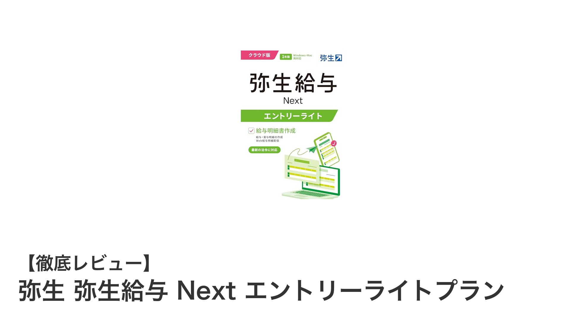 中小規模事業所に最適!弥生給与 Next エントリーライトプランの魅力とは