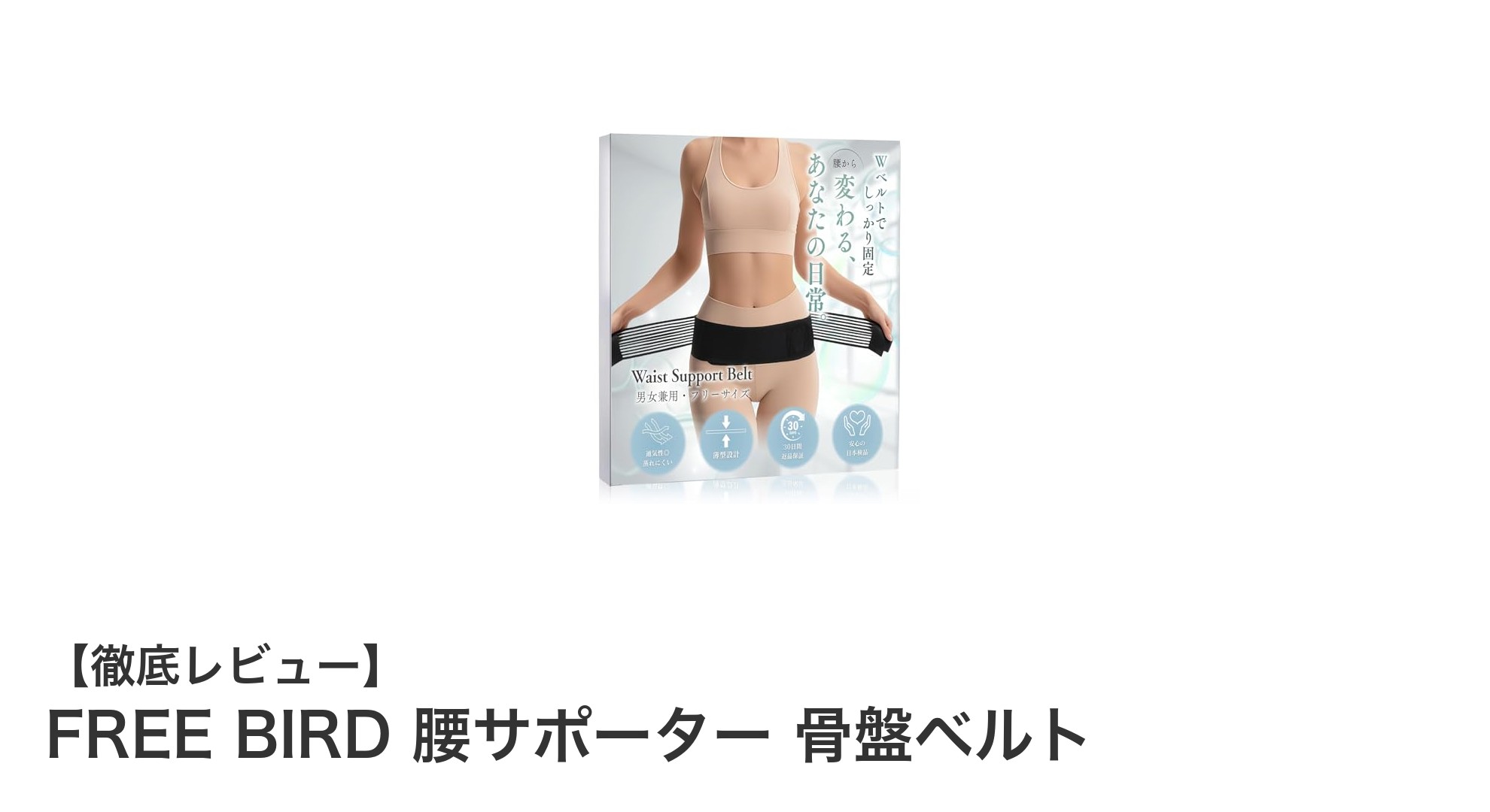 FREE BIRD 腰サポーターで快適に骨盤サポート！薄型軽量で強力固定のWベルト設計