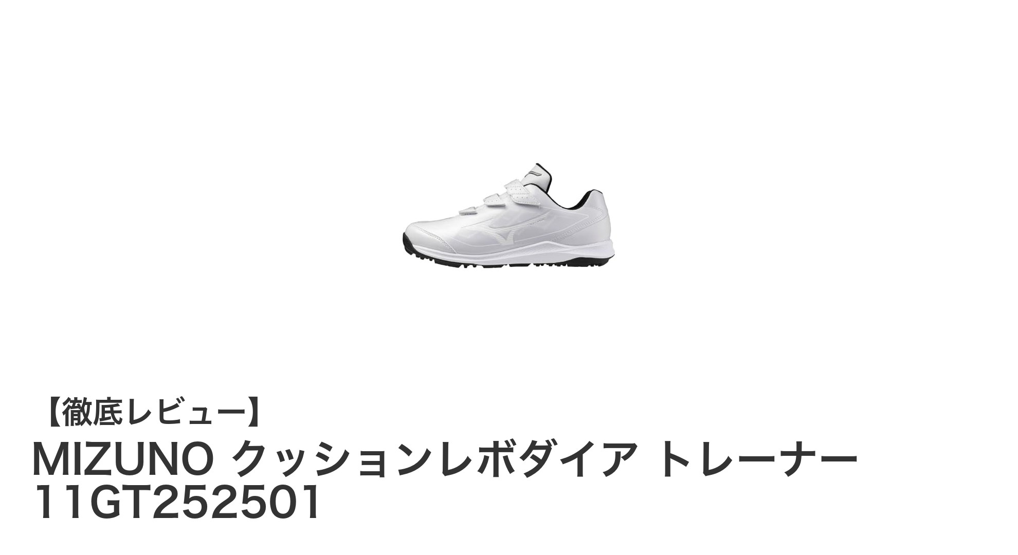 MIZUNO クッションレボダイア トレーナーで快適トレーニングを実現!耐久性抜群の幅広設計シューズ