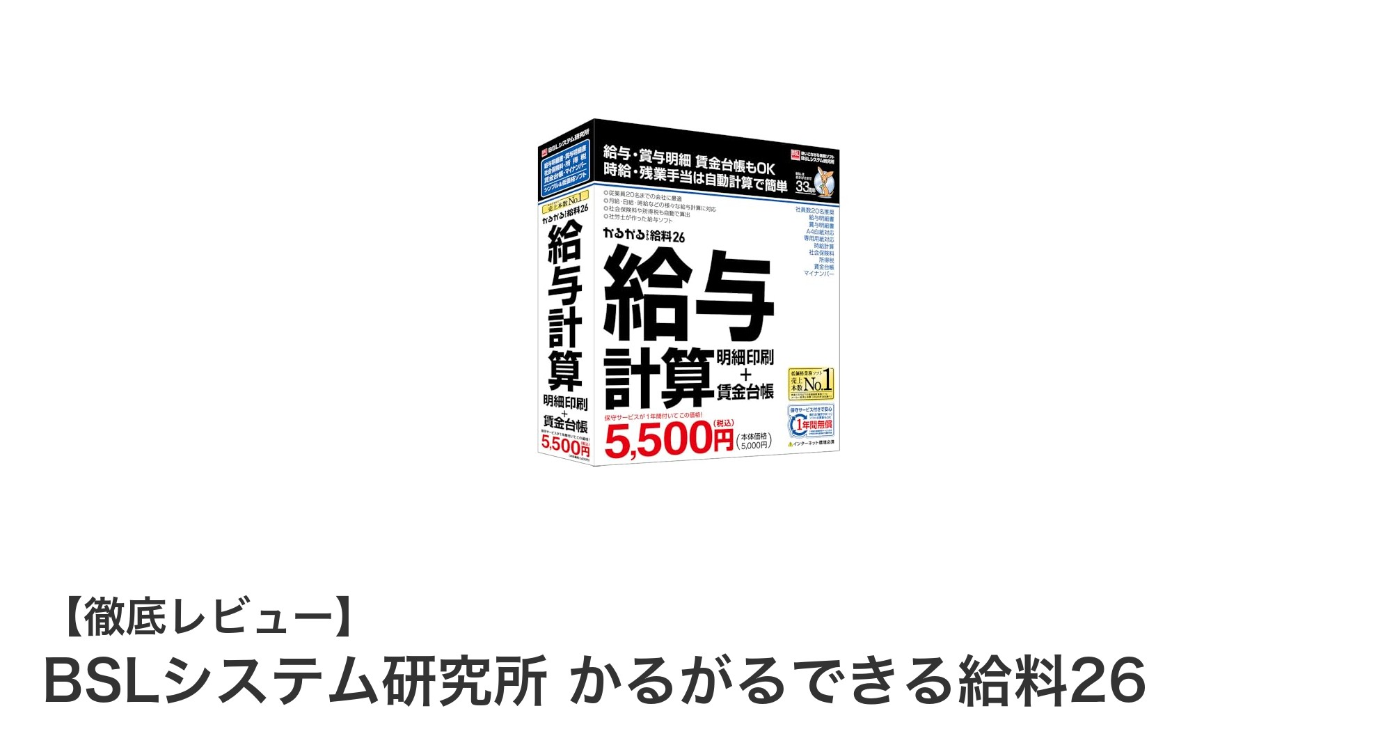 かんたん&便利!BSLシステム研究所の『かるがるできる給料26』で給与計算を効率化