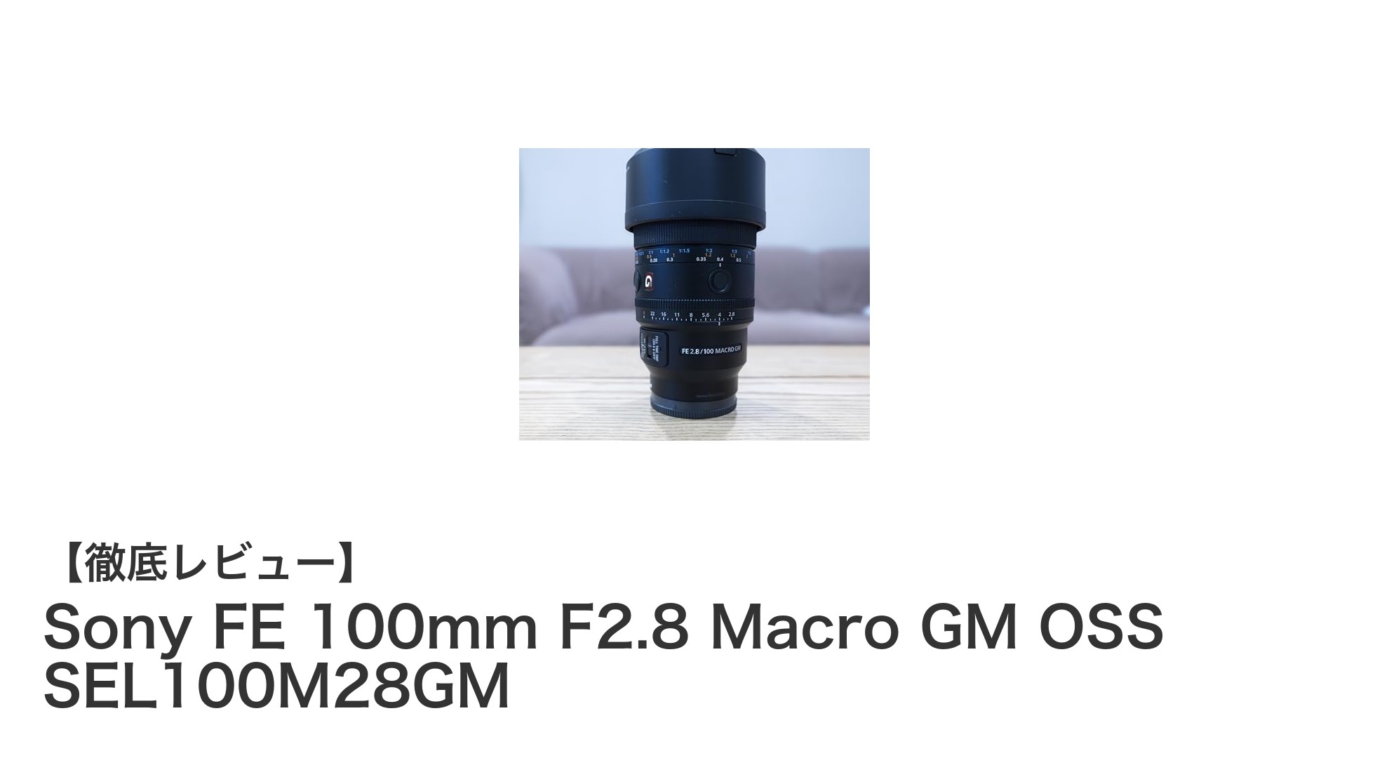 Sony FE 100mm F2.8 Macro GM OSSで極める中望遠マクロ撮影の世界