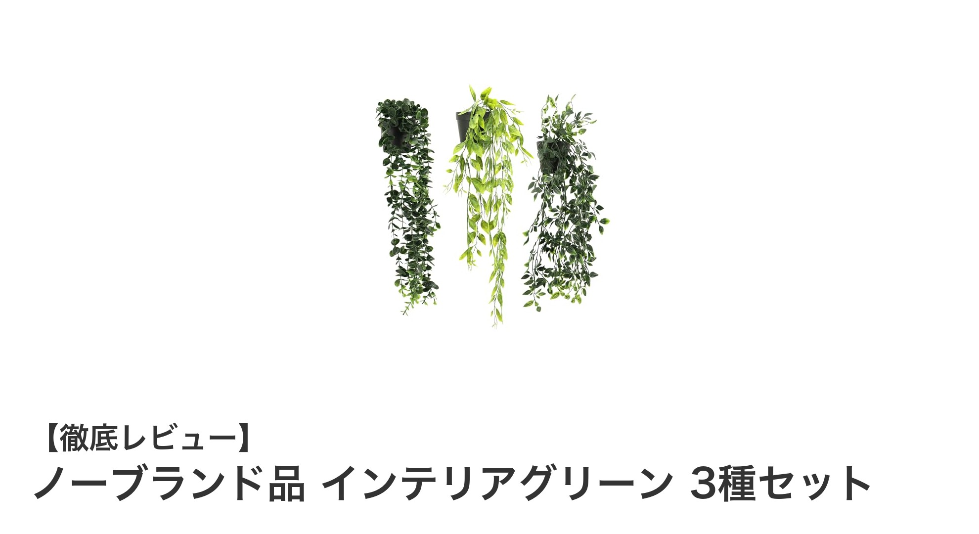 手間いらずでおしゃれに飾る!ノーブランド品 インテリアグリーン 3種セットの魅力とは?