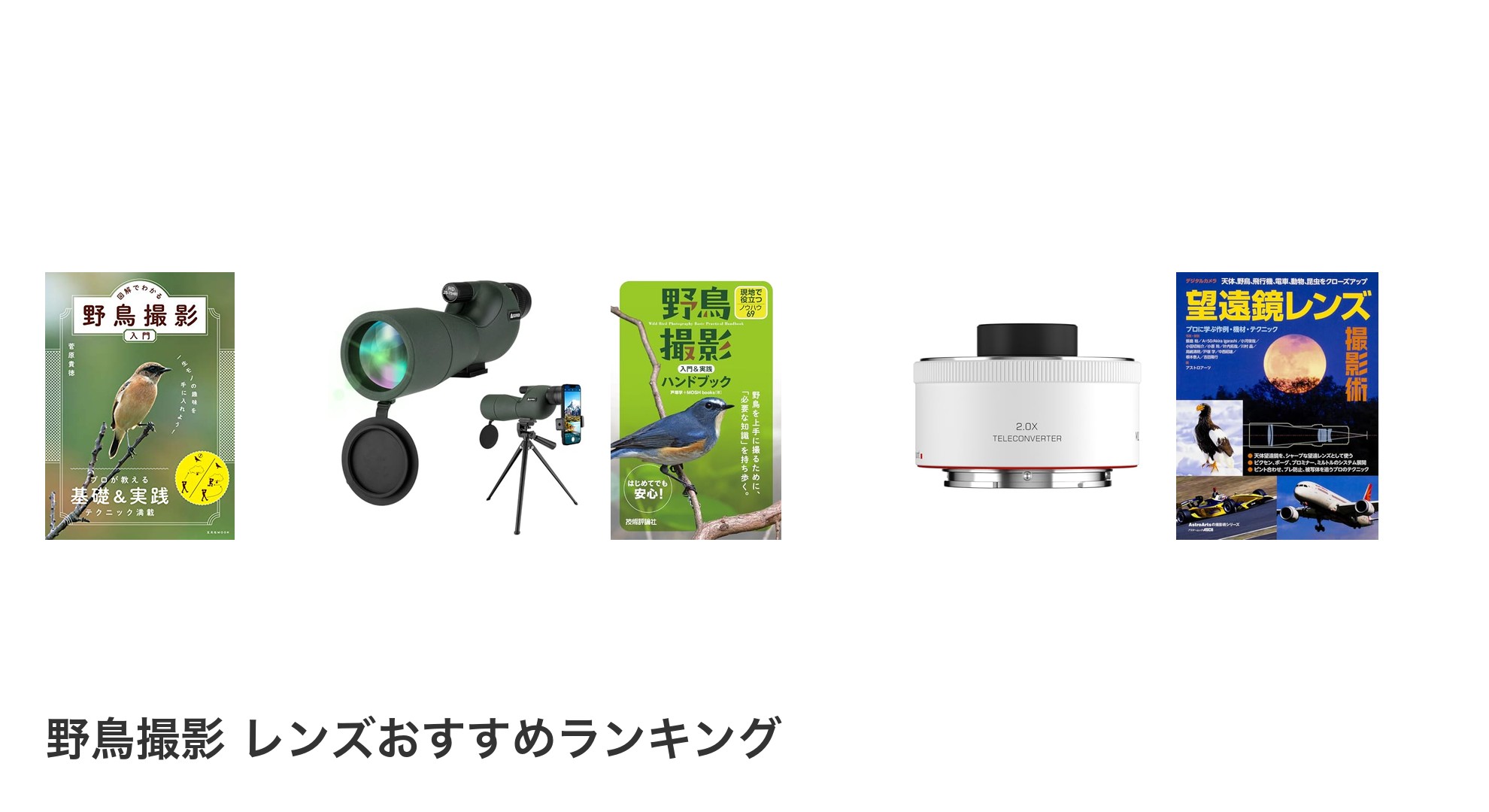 野鳥撮影 レンズのおすすめランキング