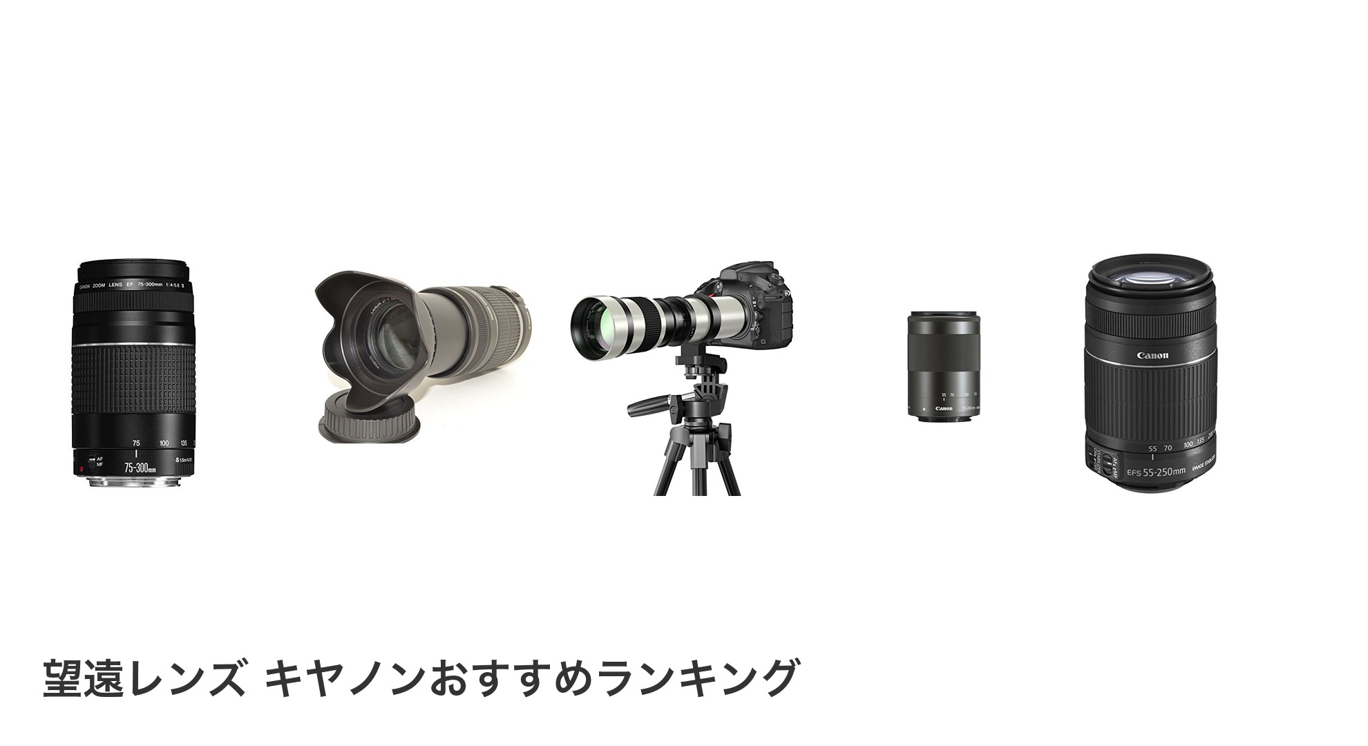 望遠レンズ キヤノンのおすすめランキング