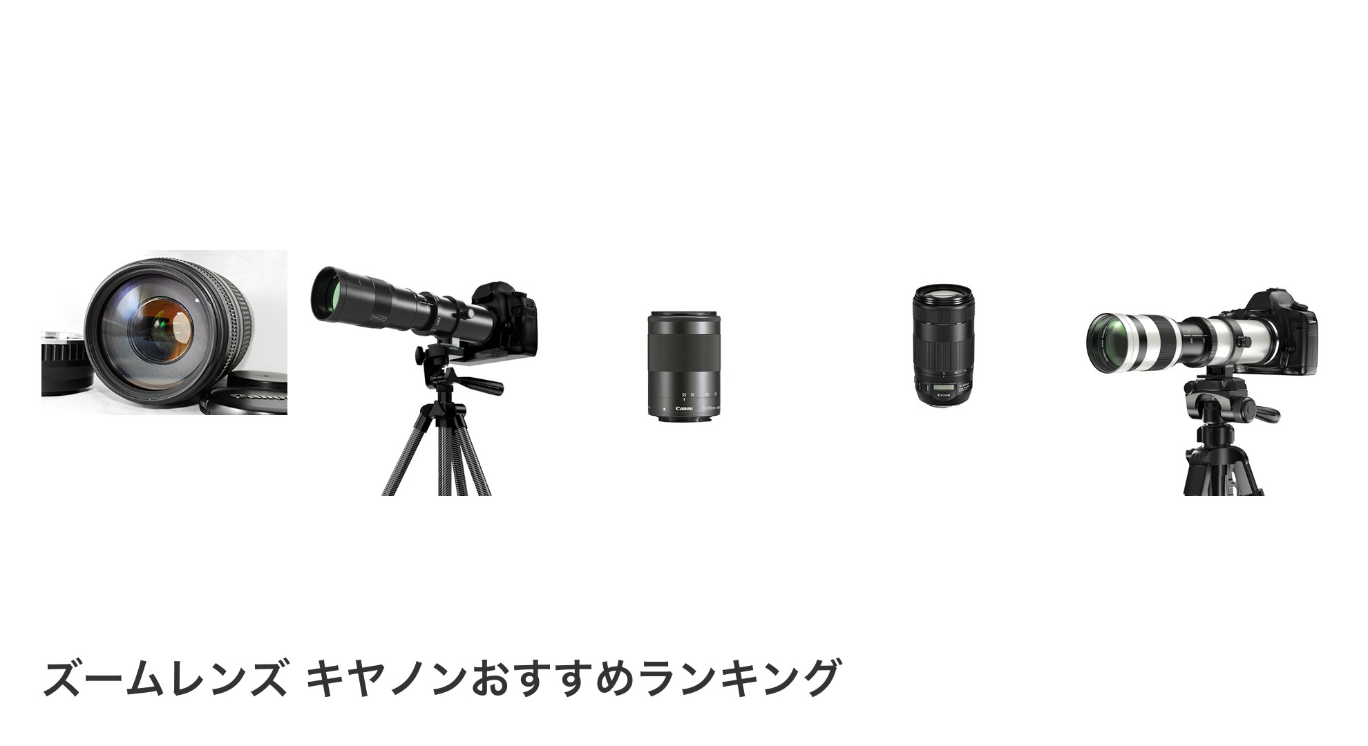 ズームレンズ キヤノンのおすすめランキング