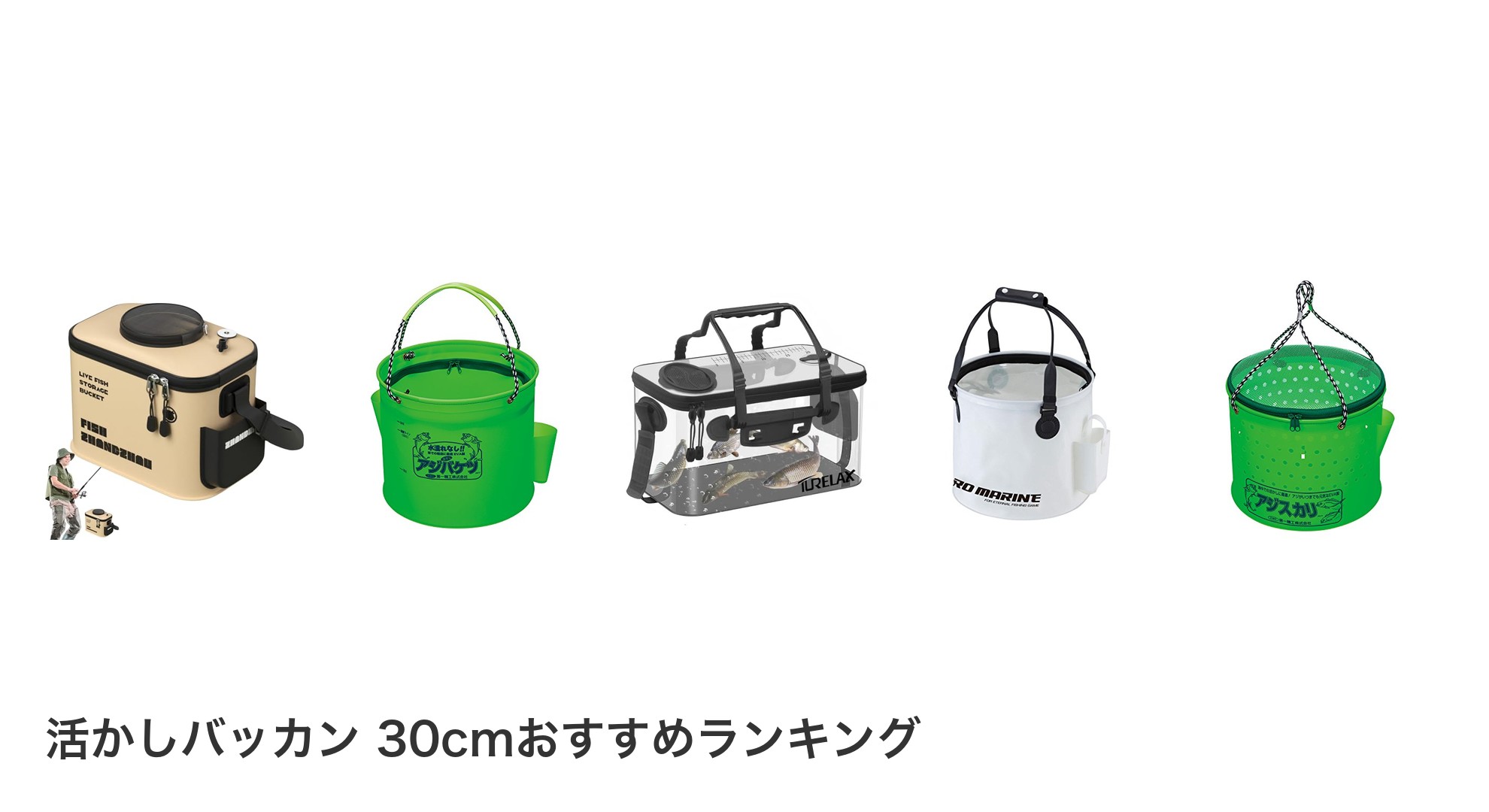 活かしバッカン 30cmのおすすめランキング