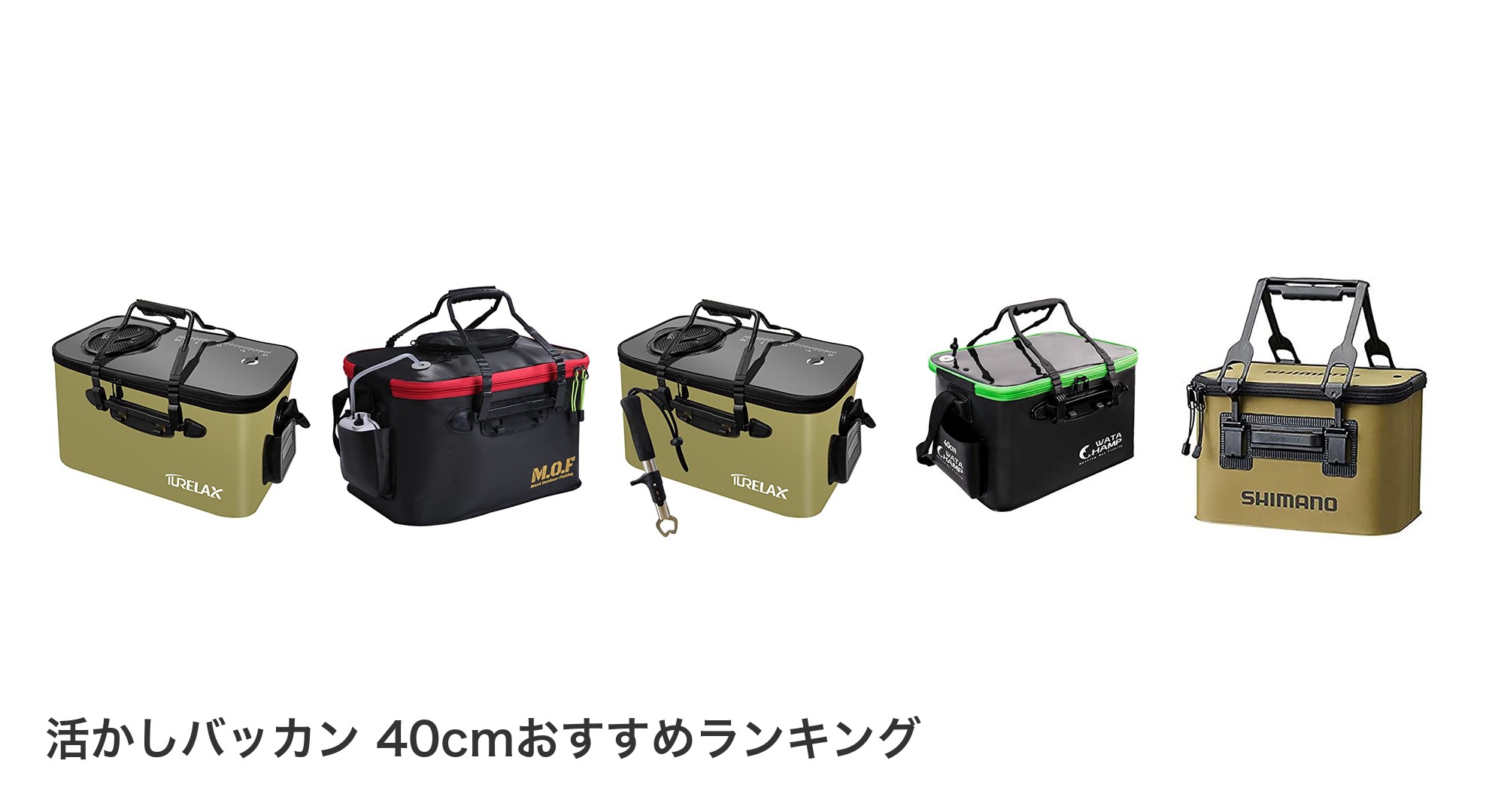 活かしバッカン 40cmのおすすめランキング