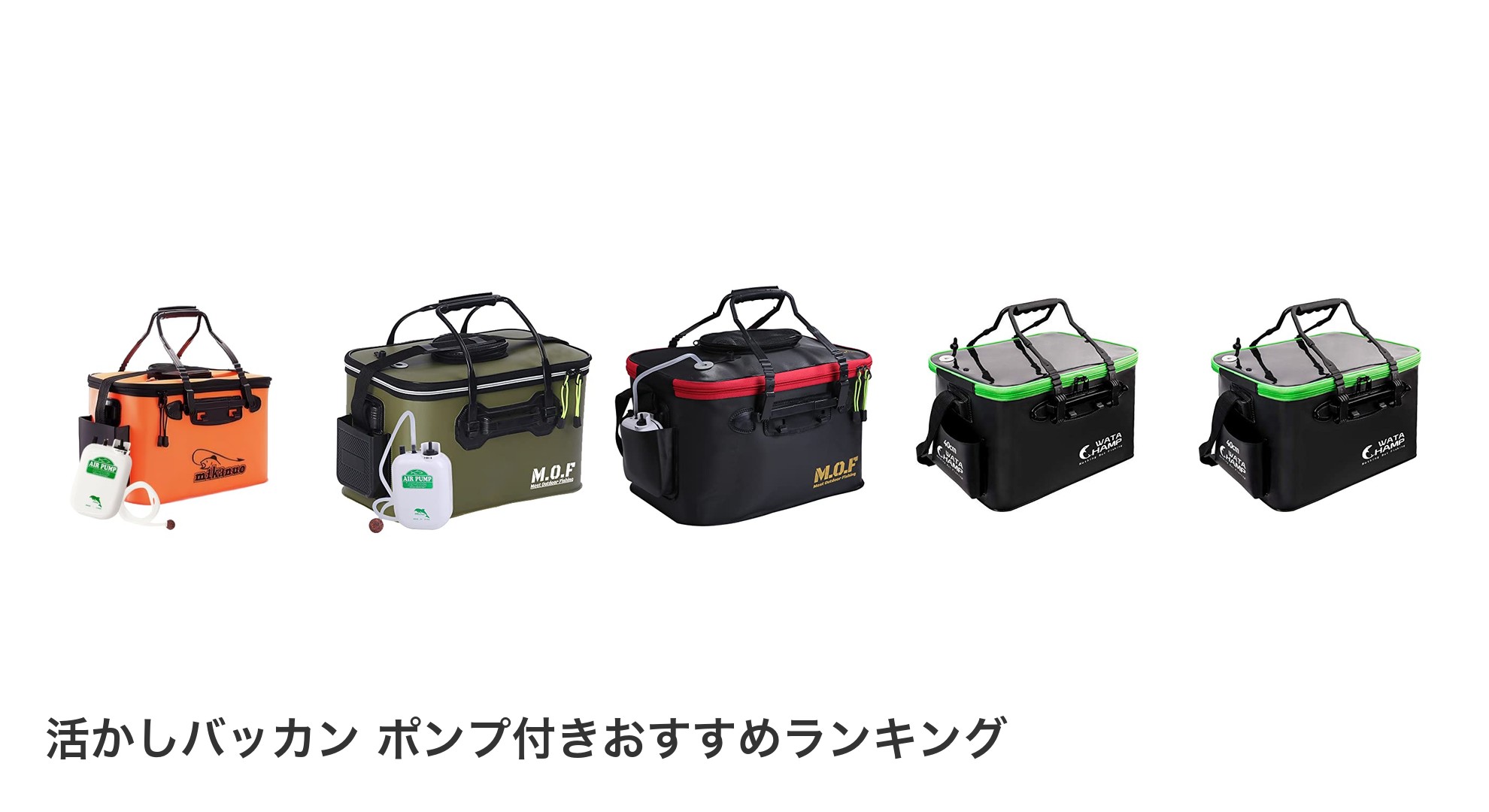 活かしバッカン ポンプ付きのおすすめランキング