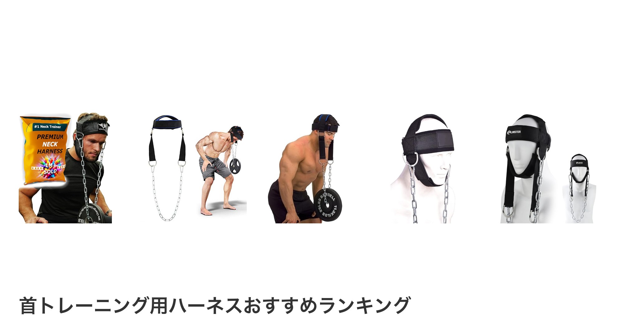 首トレーニング用ハーネスのおすすめランキング
