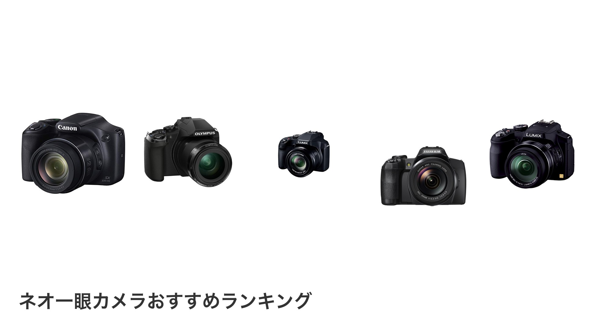 ネオ一眼カメラのおすすめランキング