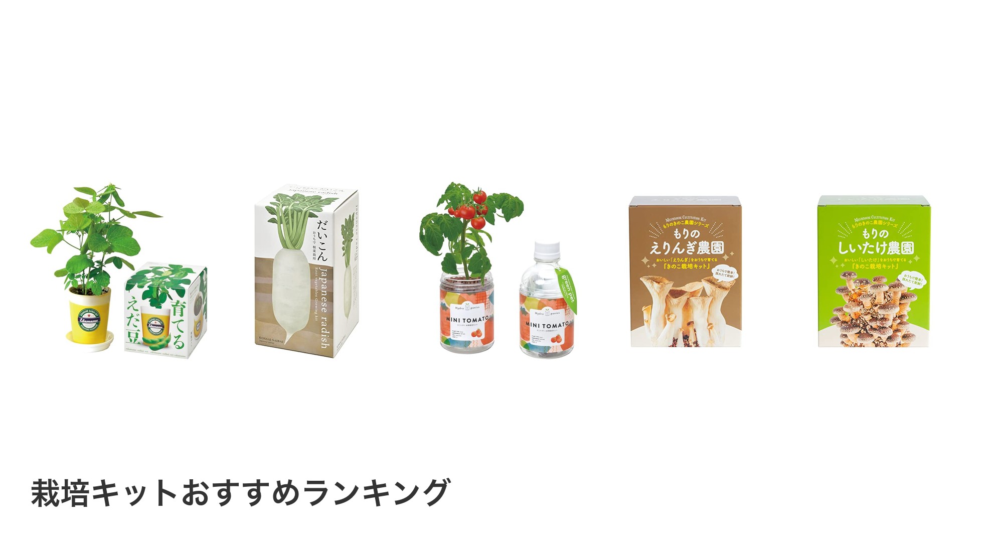 栽培キットのおすすめランキング