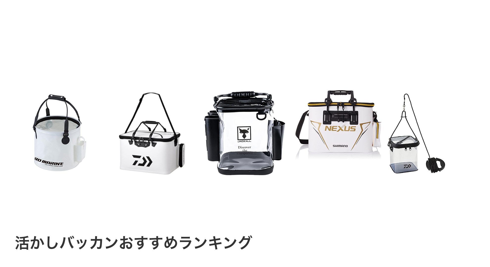 活かしバッカンのおすすめランキング