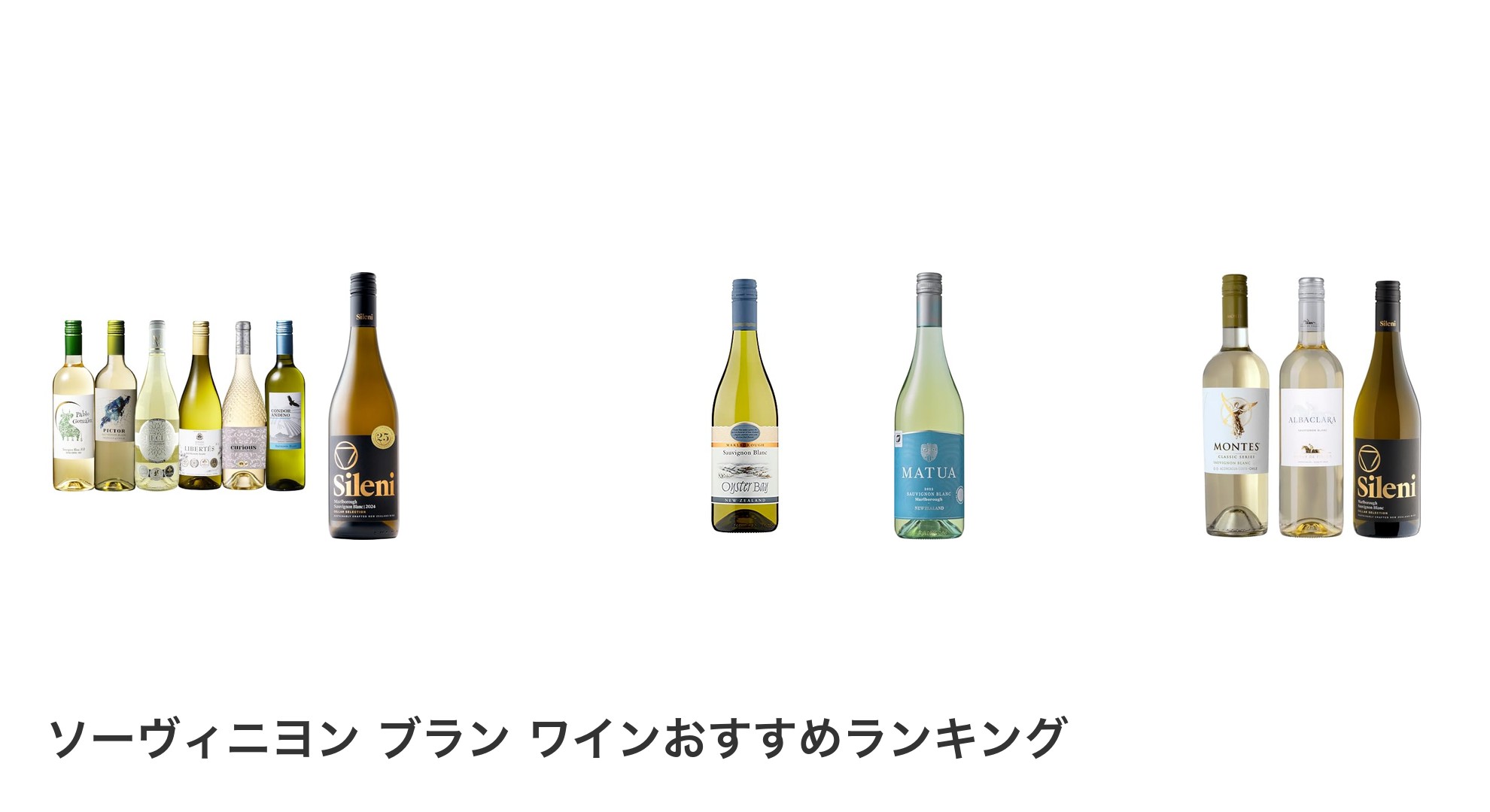 ソーヴィニヨン ブラン ワインのおすすめランキング