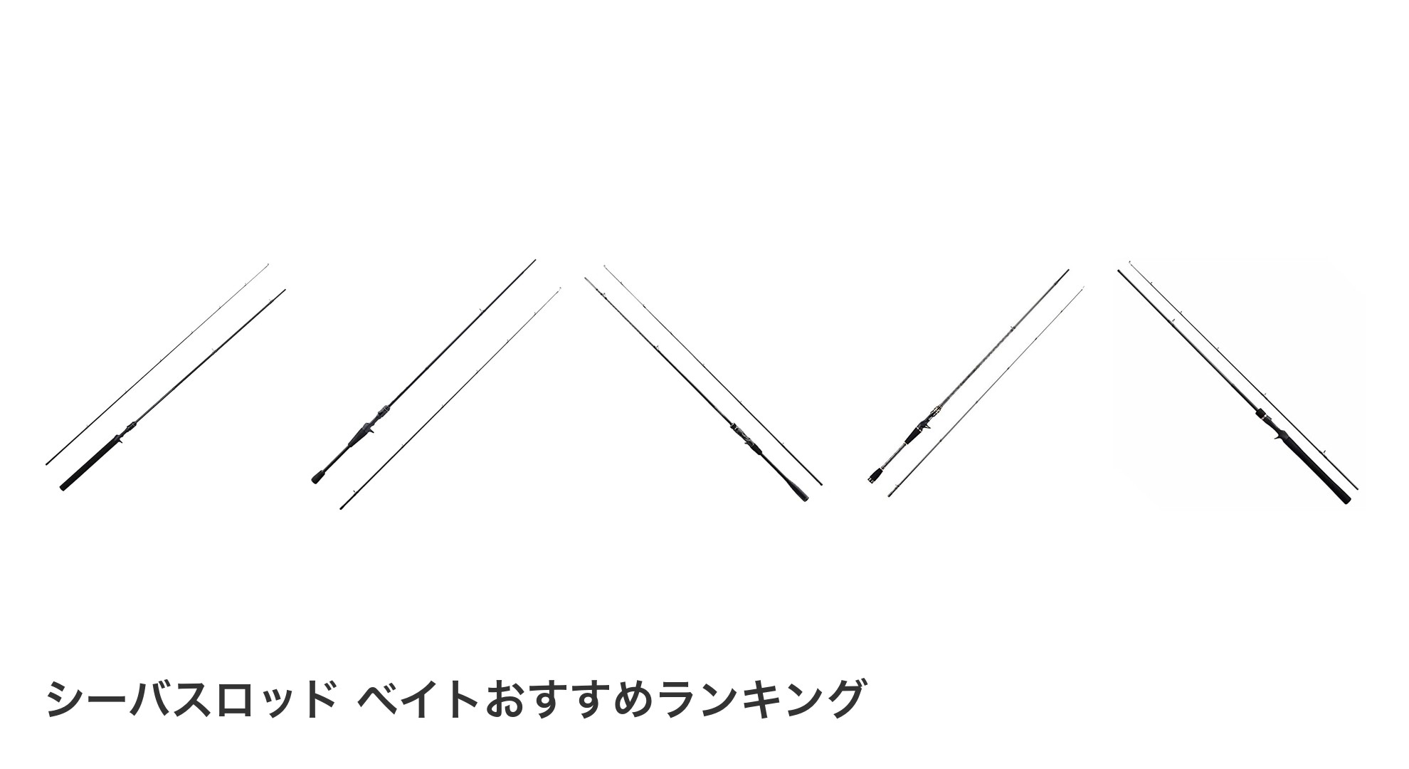 シーバスロッド ベイトのおすすめランキング