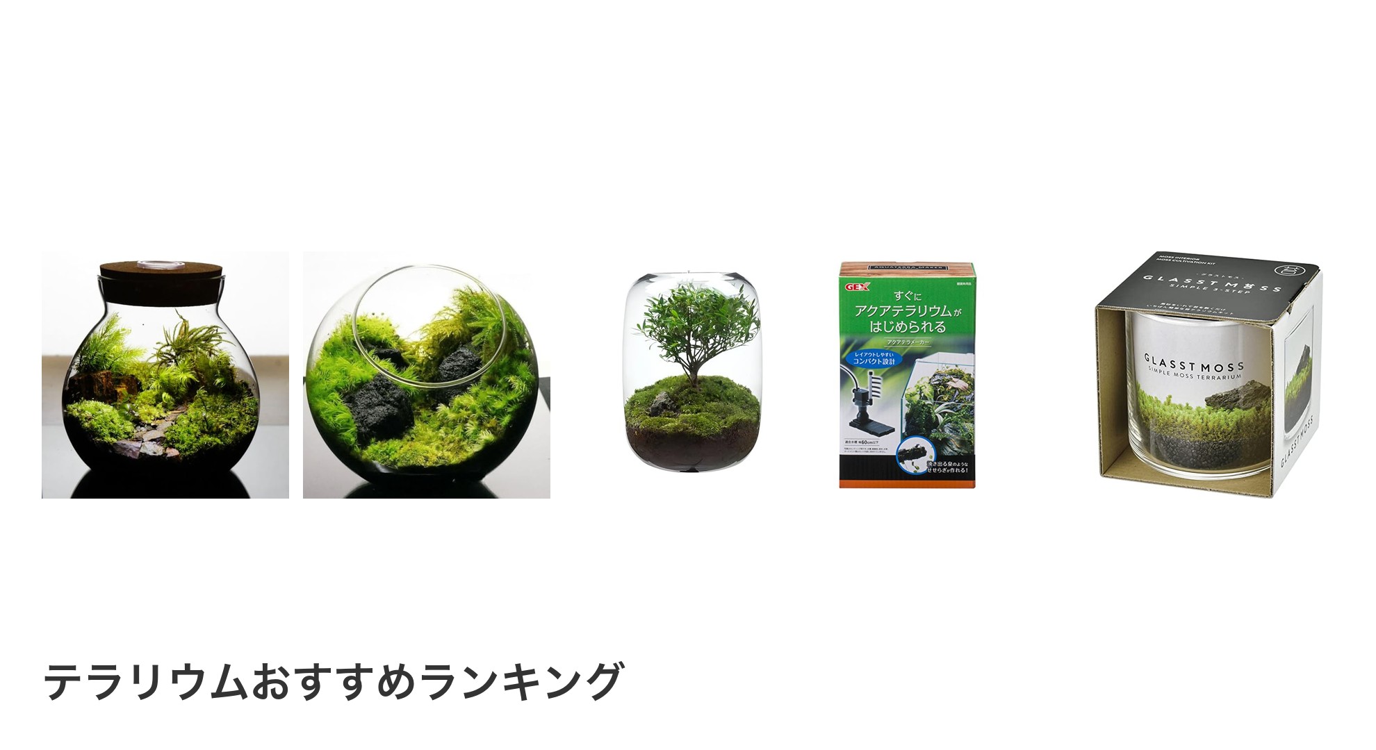 テラリウムのおすすめランキング